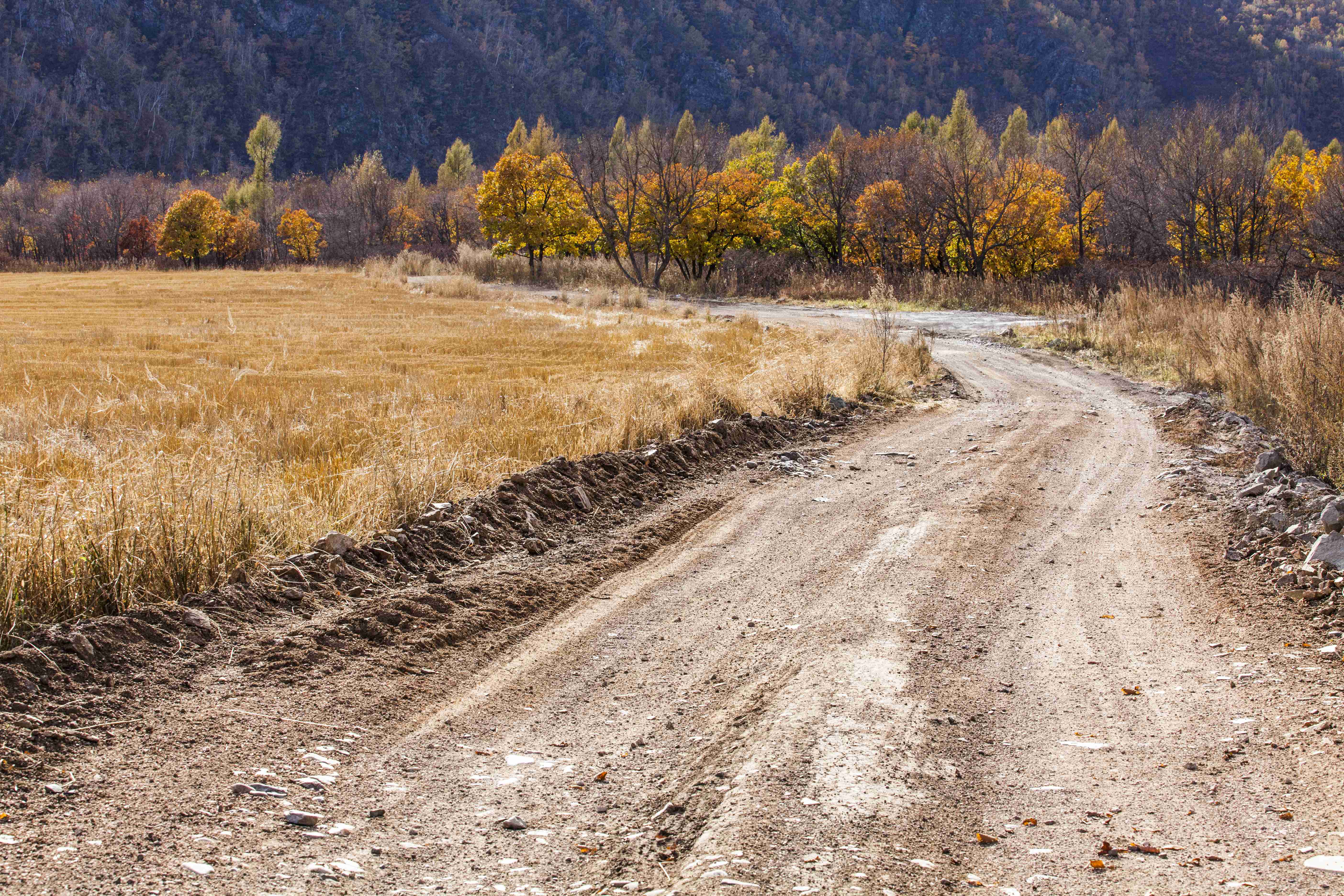 country-dirt-road