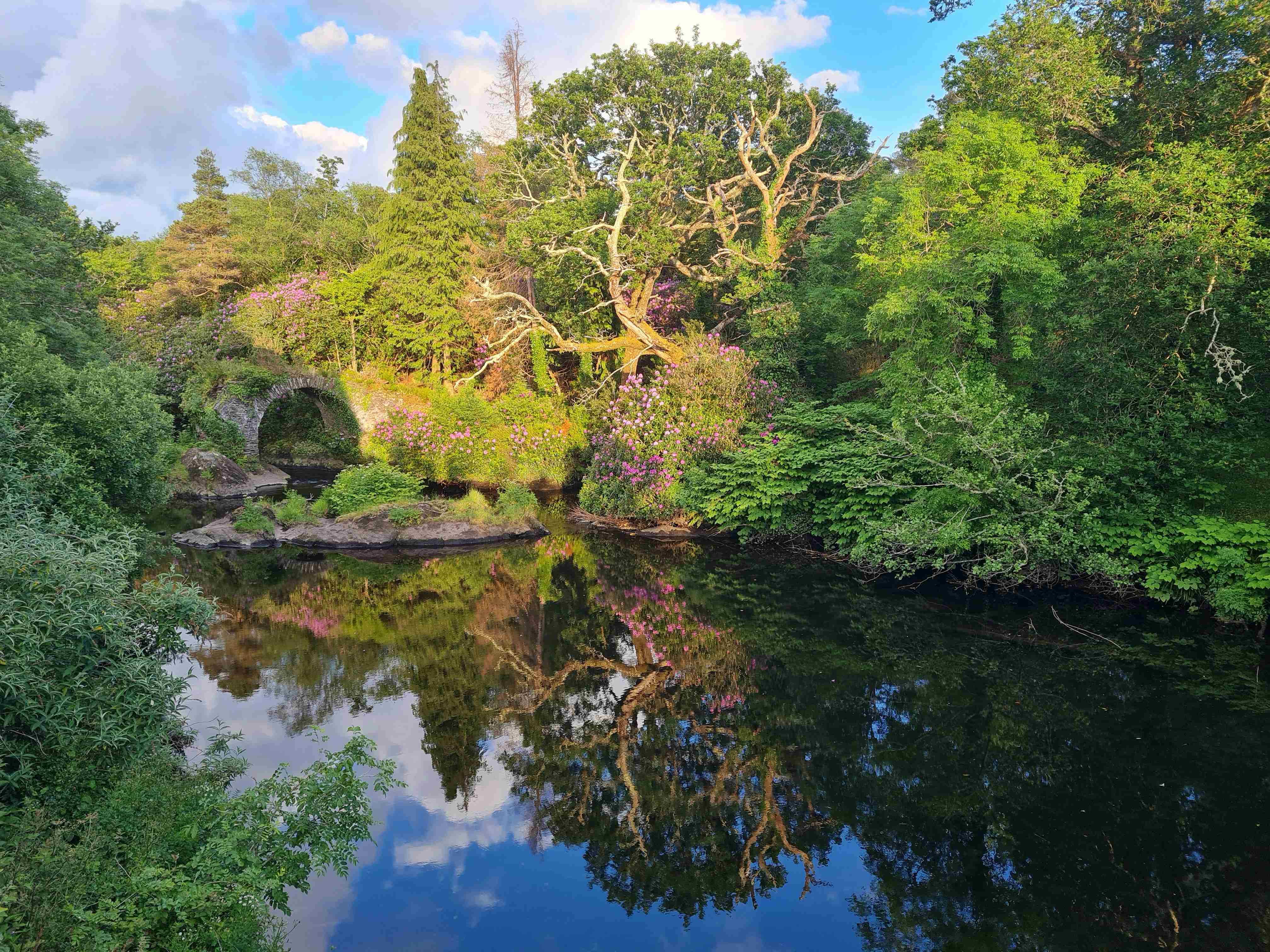 badan-air-dikelilingi-pokok-hijau-rimbun