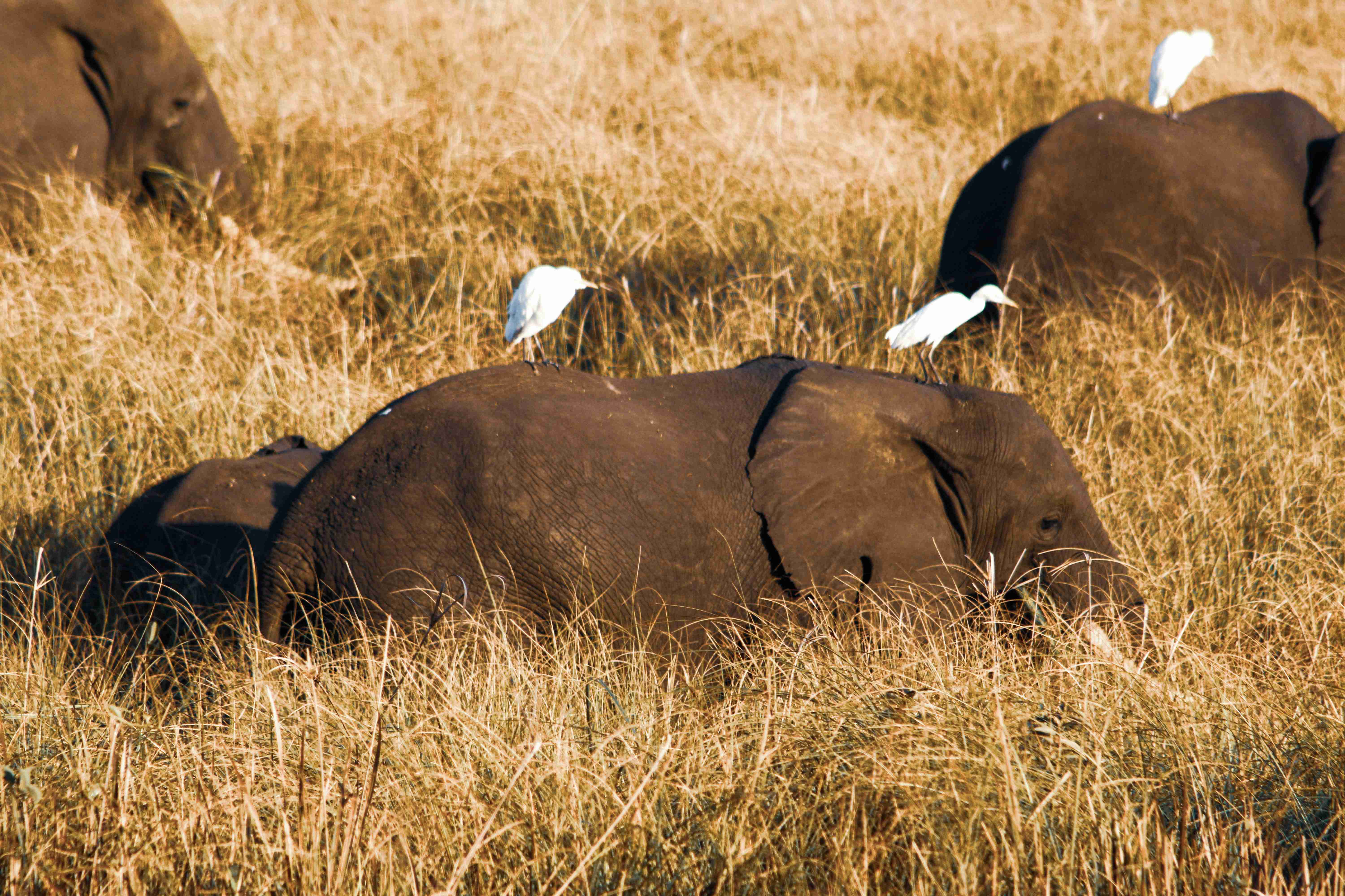 Unveiling Mozambique With the Four Best Road Trip Travel Itineraries