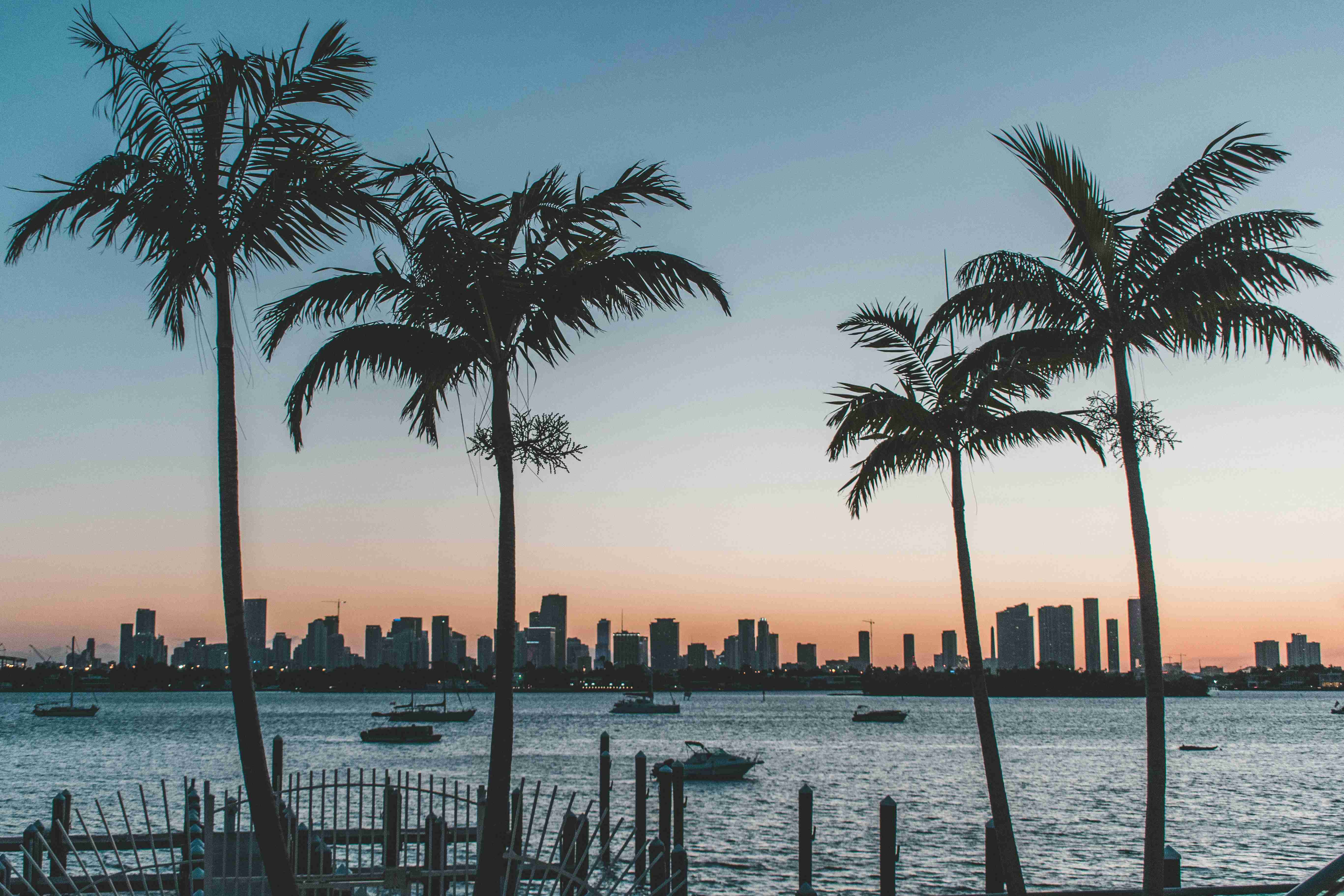Hitting the Sunshine State: A Guide to Florida's Public Transport
