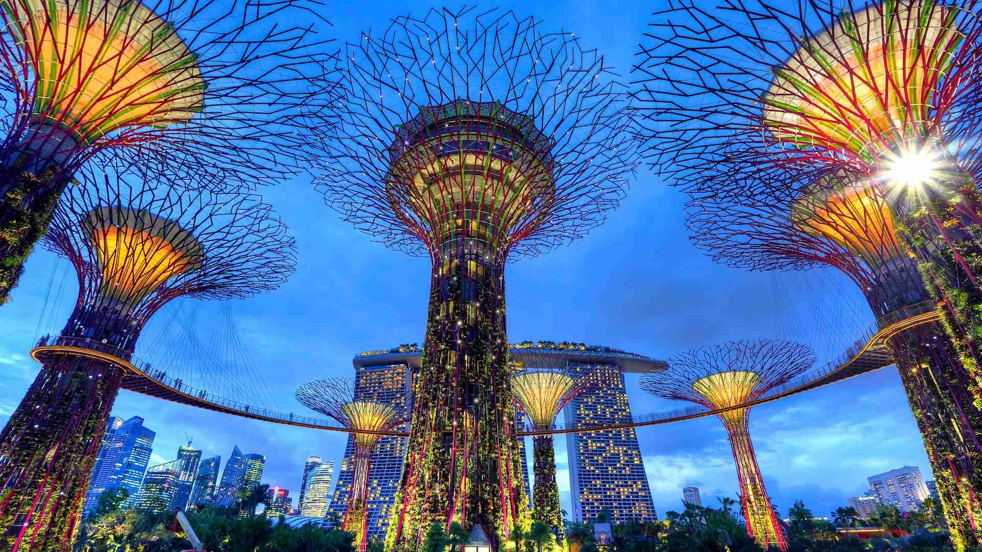 Apšviestos Supertree struktūros Gardens prie įlankos, Singapūre.