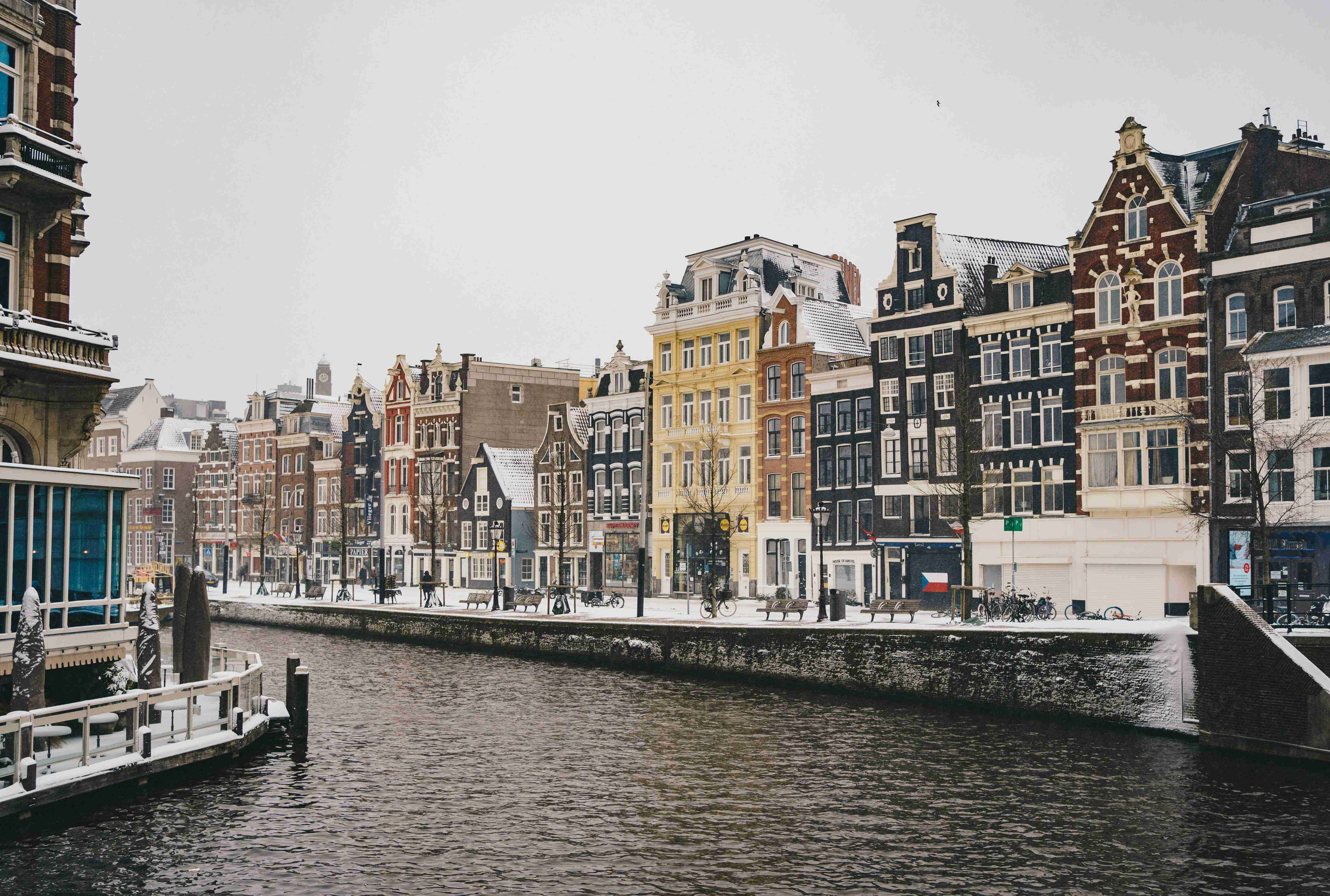 The Allure of the Netherlands: A Love Affair with Art and Nature