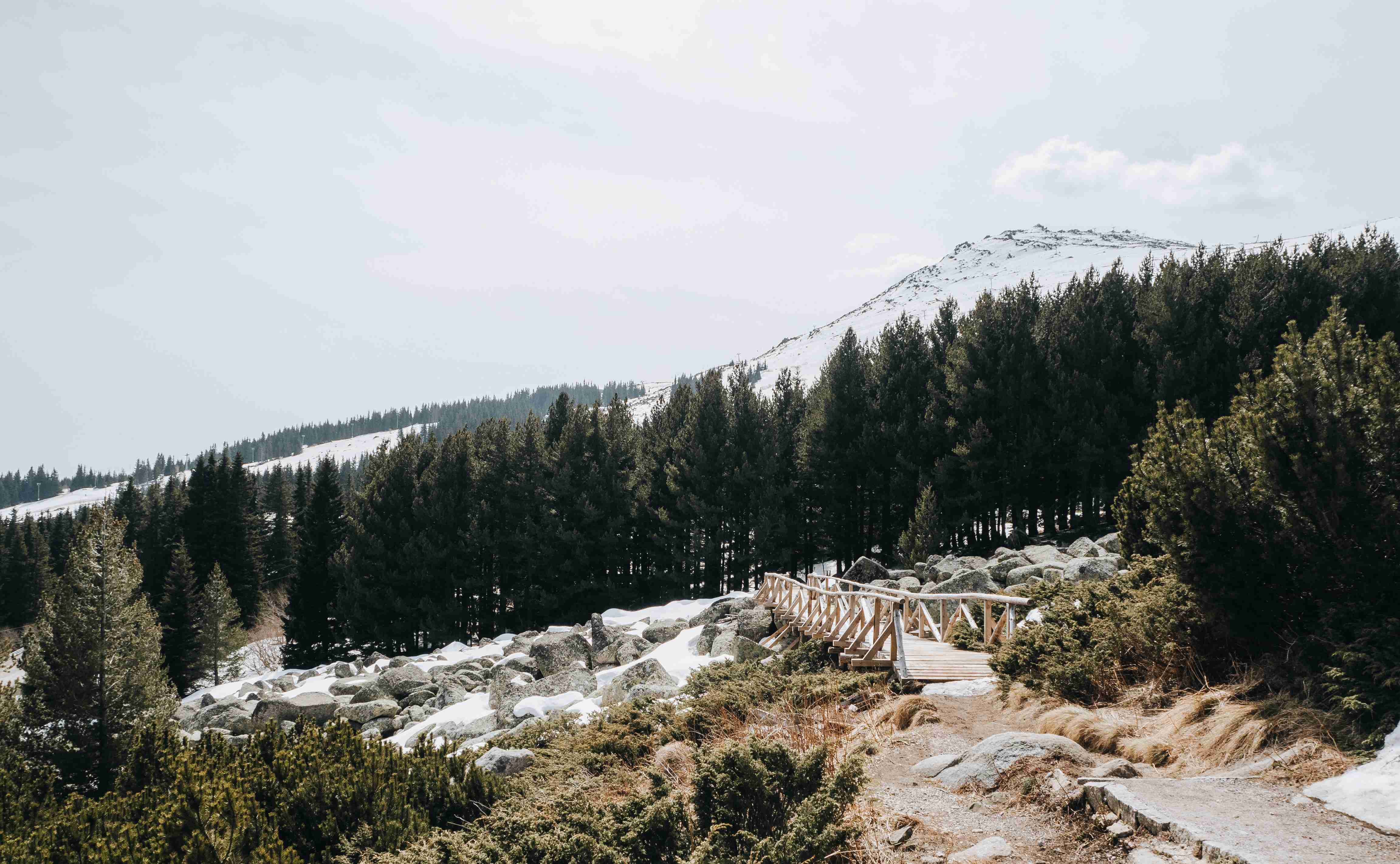 dřevěný-most-nad-sněhem-pokrytou-lesní-krajinou