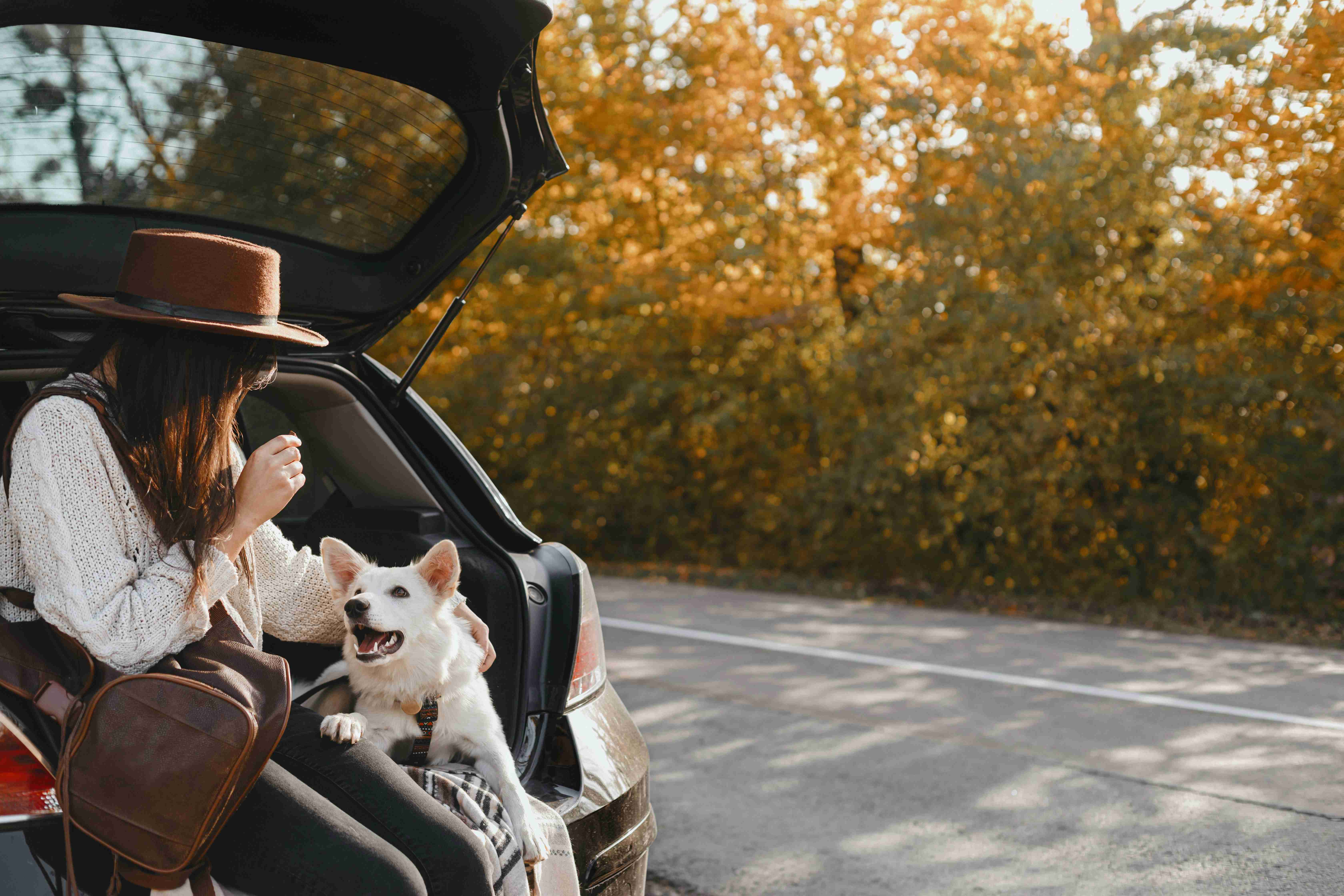 road-trip-with-pet-stylish-young-woman