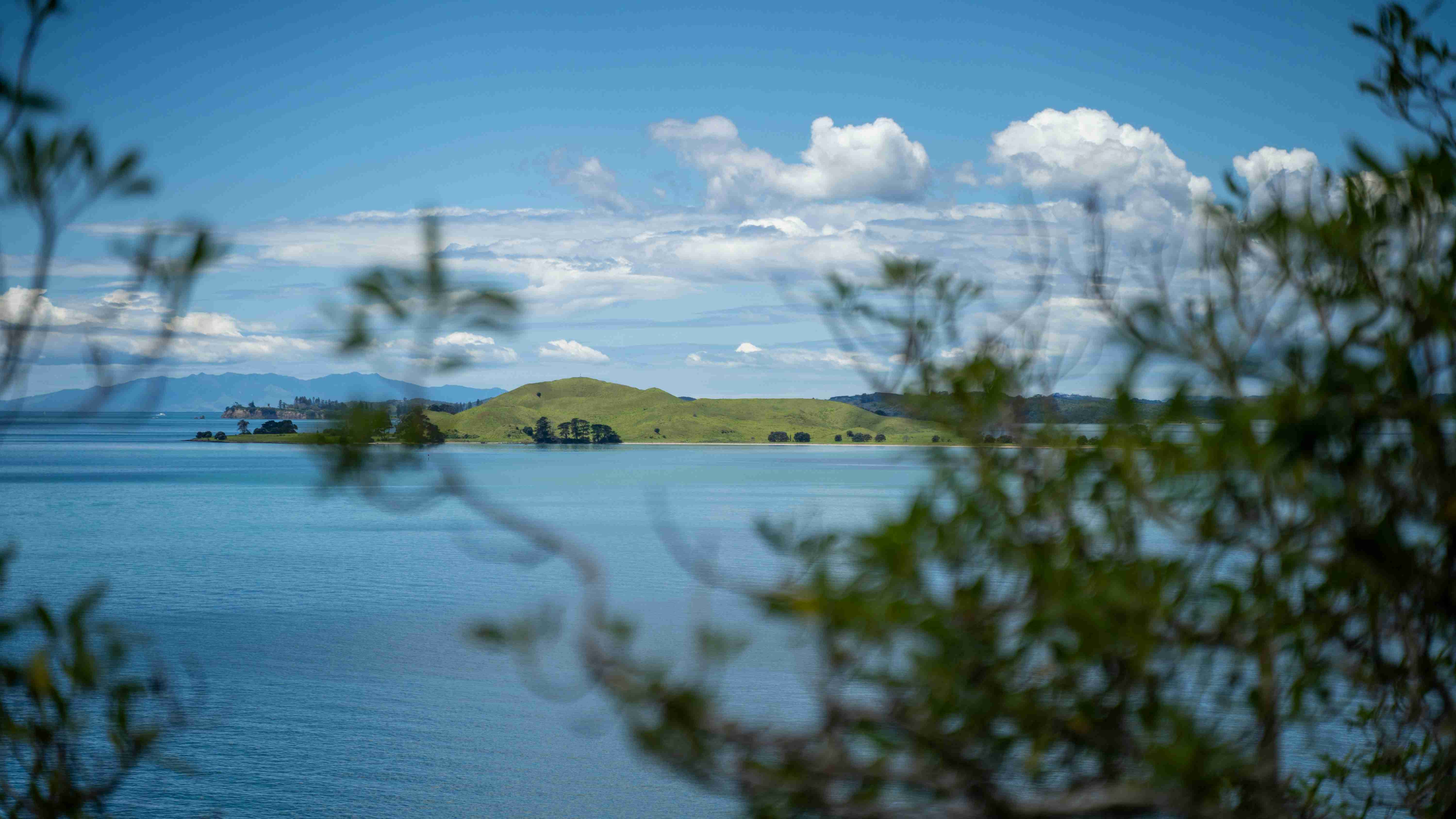 The Ultimate Guide to the Top Family-Friendly Day Trips from Auckland, NZ
