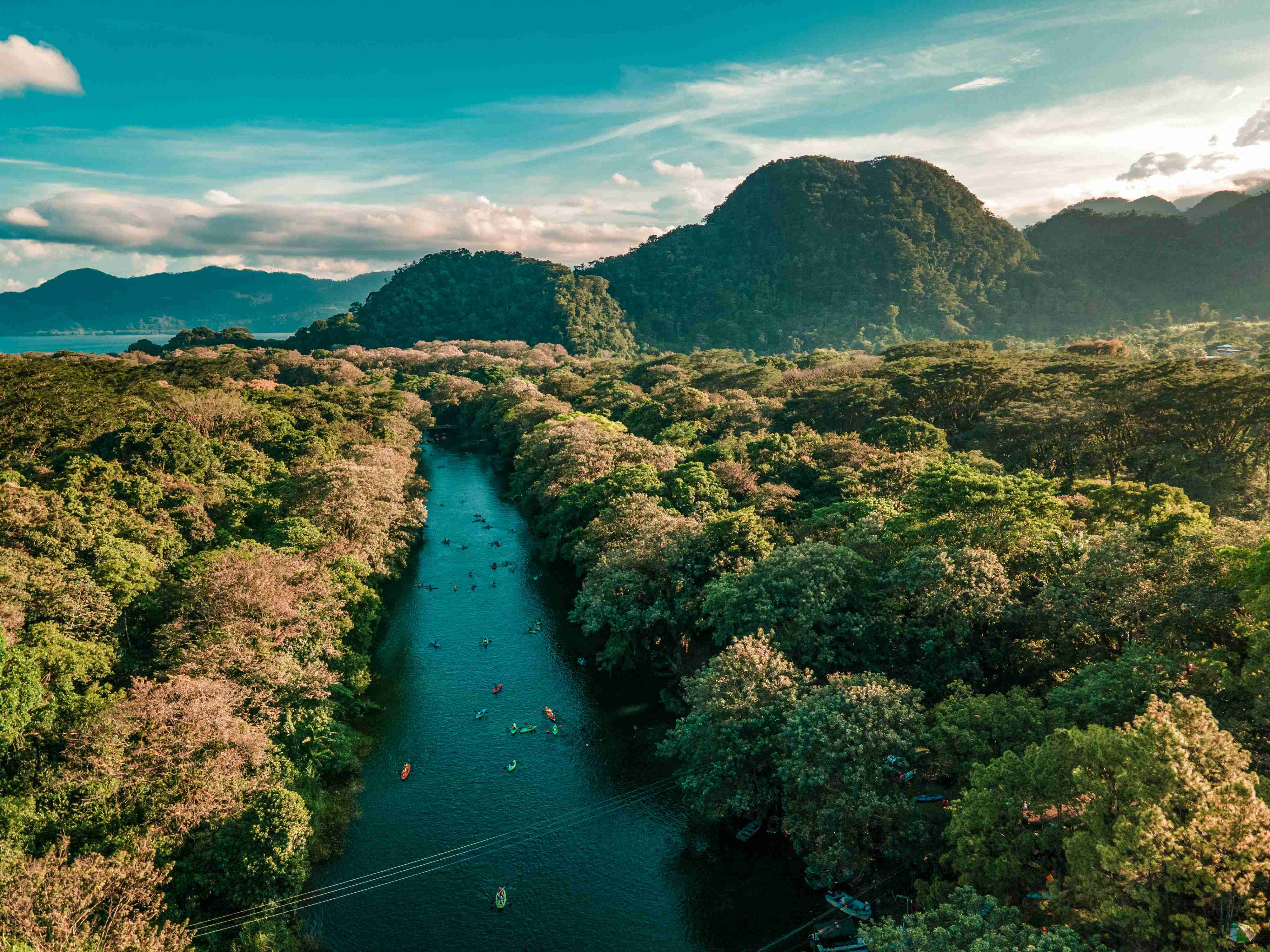 a-river-running-through-a-lush-green-forest