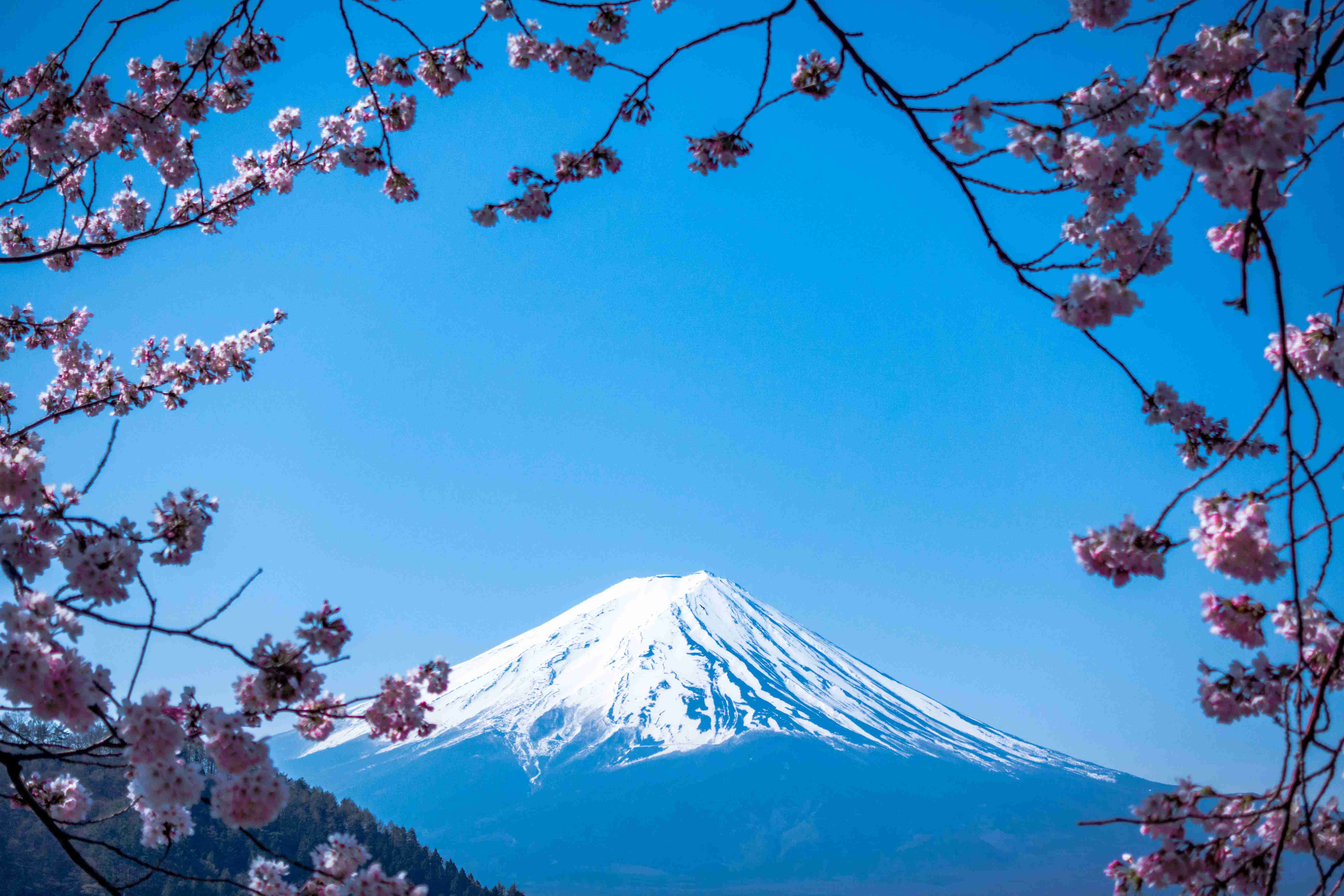 Japan Driving Guide