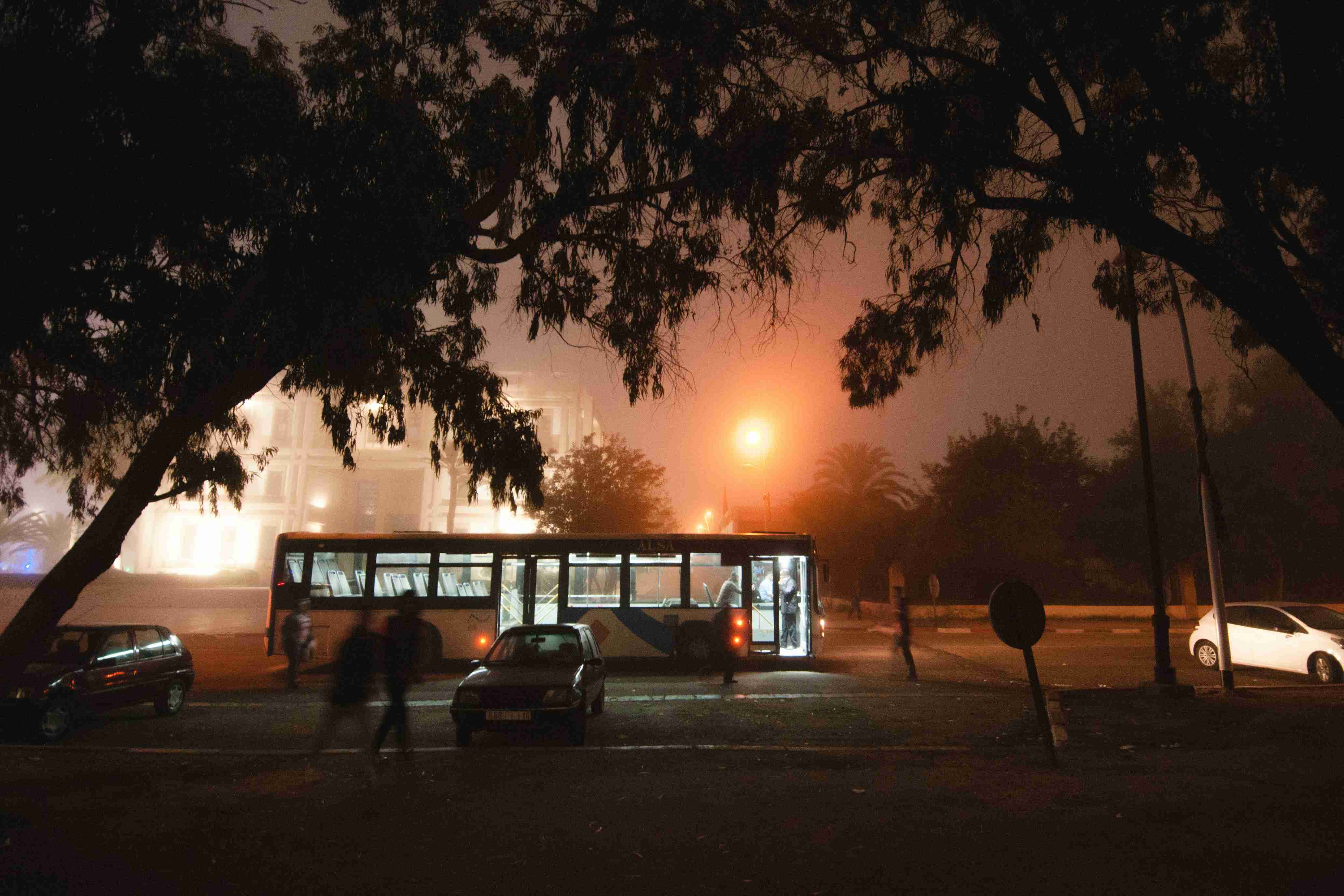 white car parking near house