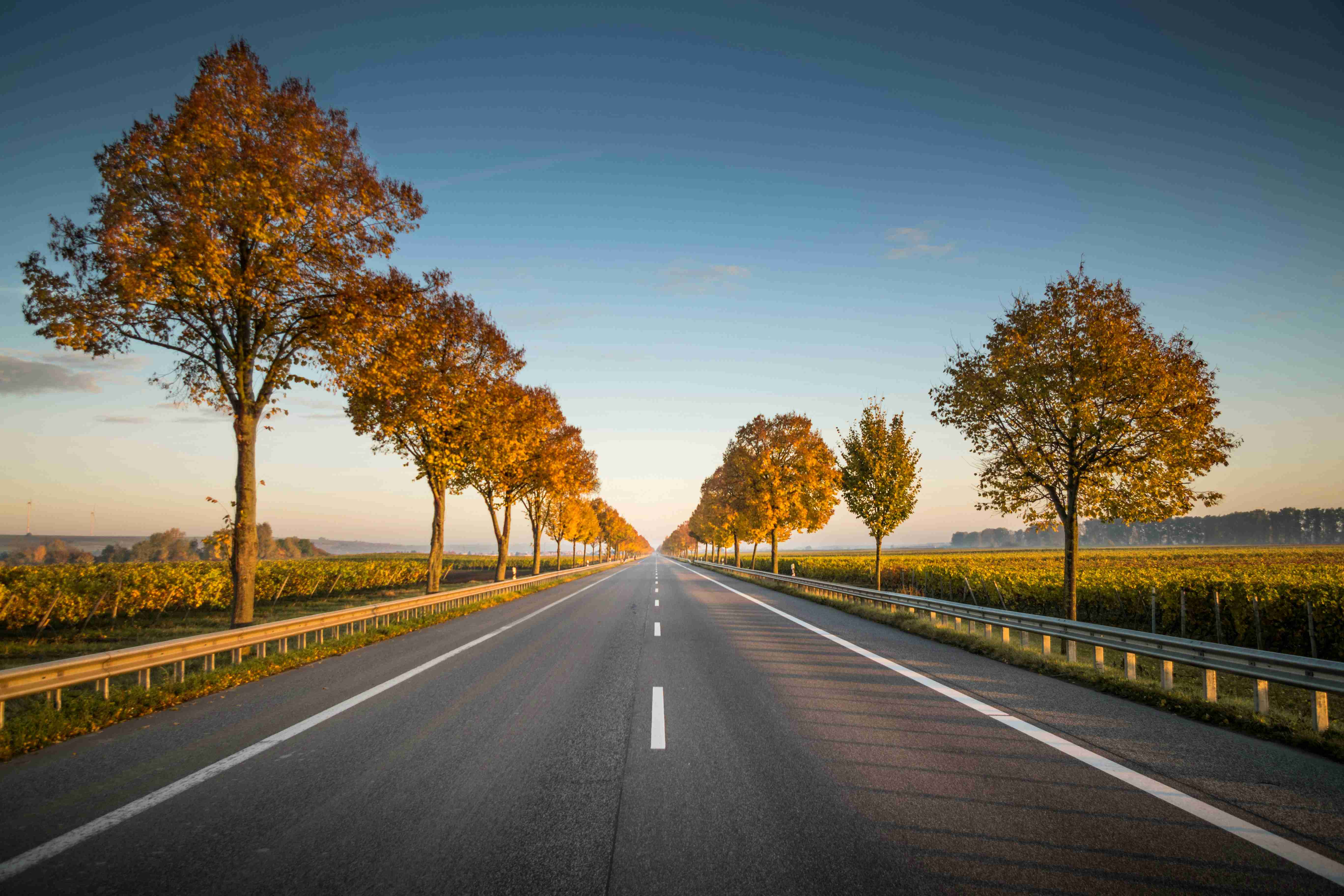 Magic & Majesty: Scenic Routes for Your Germany Road Trip
