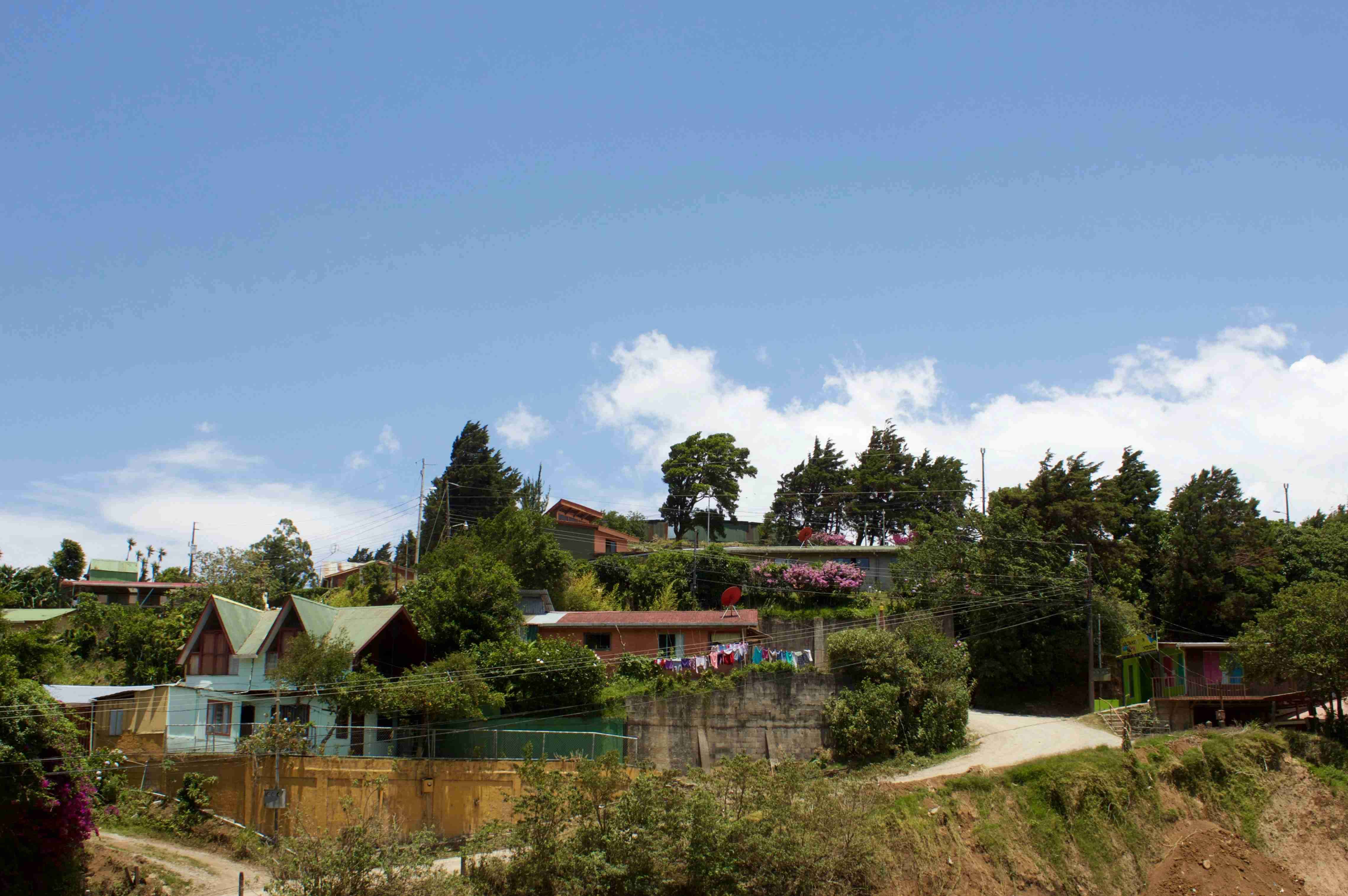 green trees near brown house under blue sky