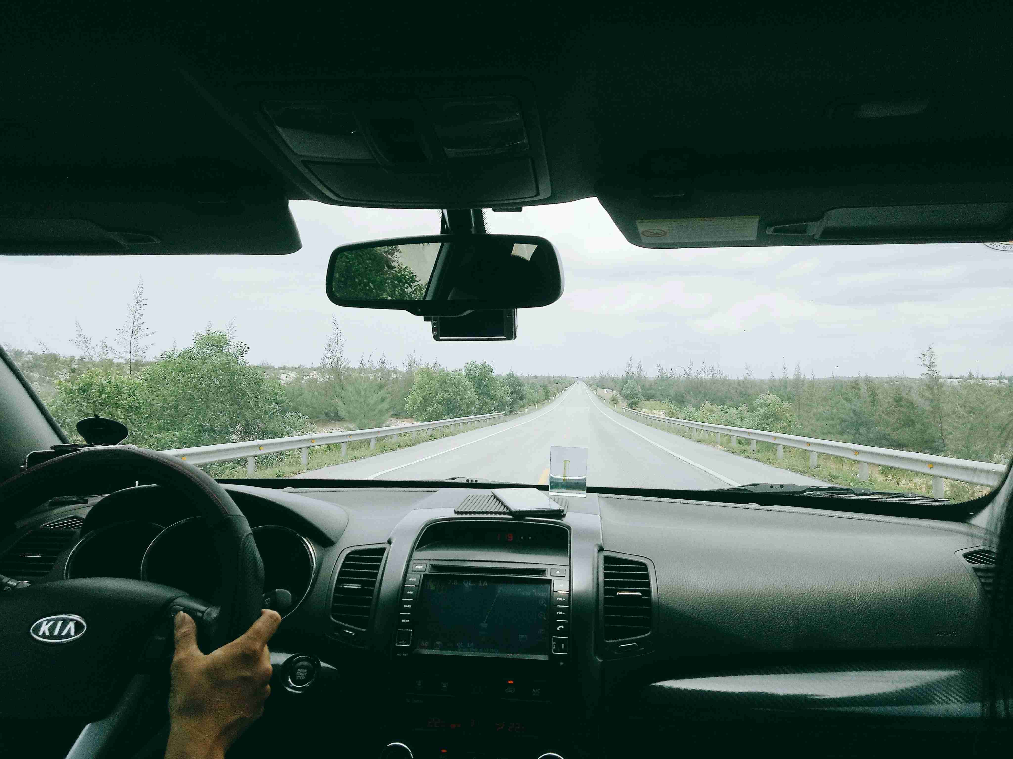 brown dog on car dashboard