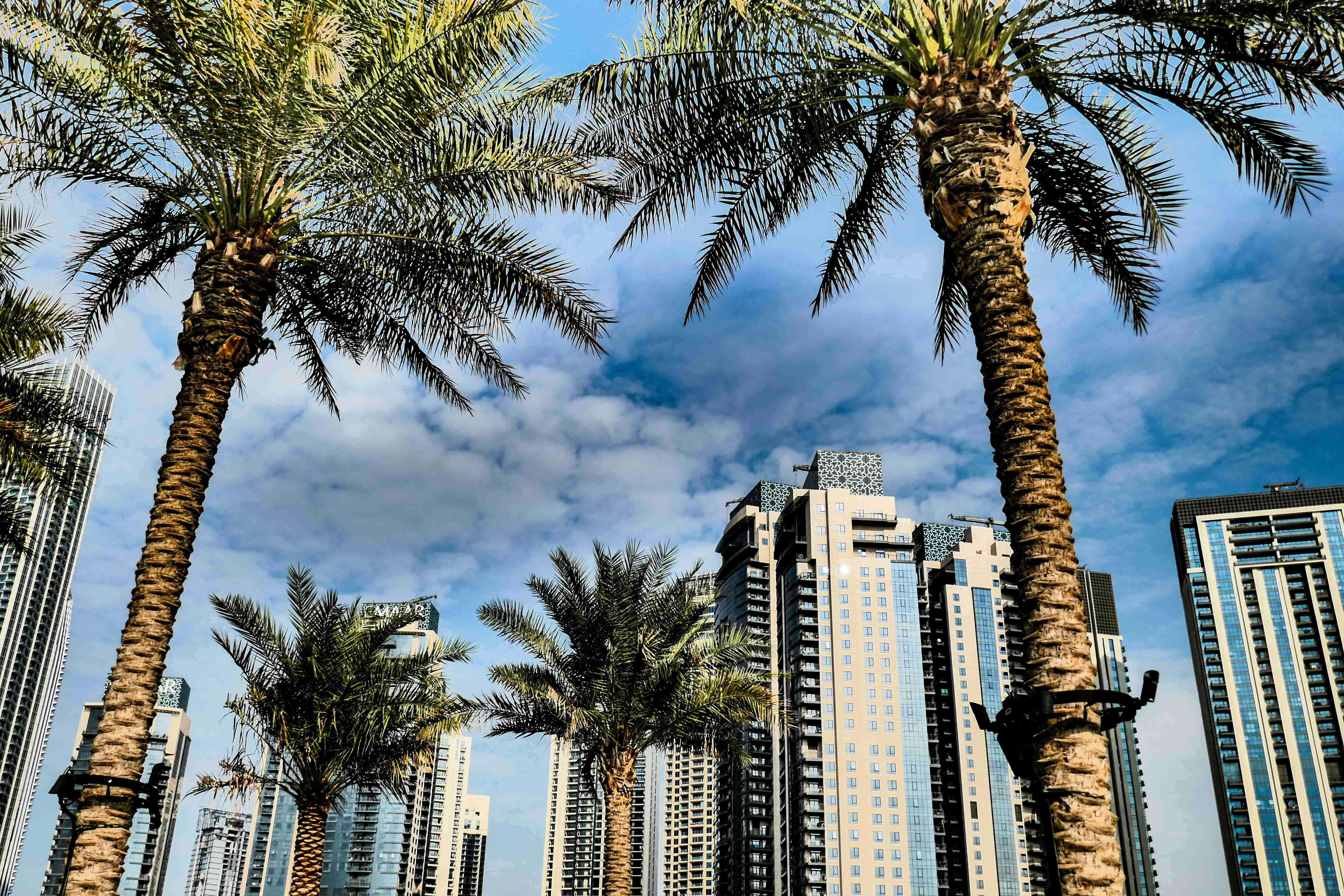 low-angle-shot-of-modern-buildings-and-palm-trees