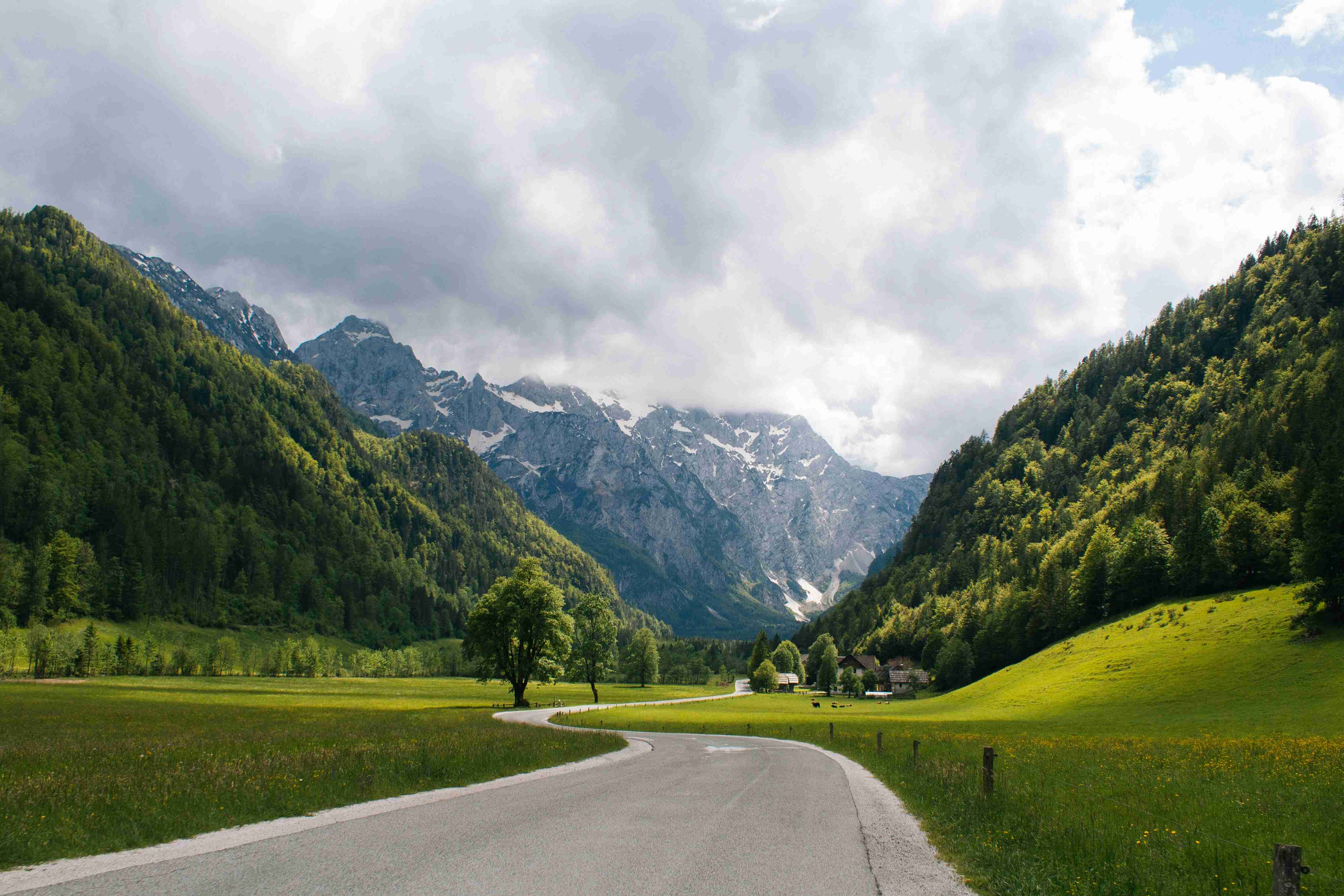 a road in the middle of a lush green valley