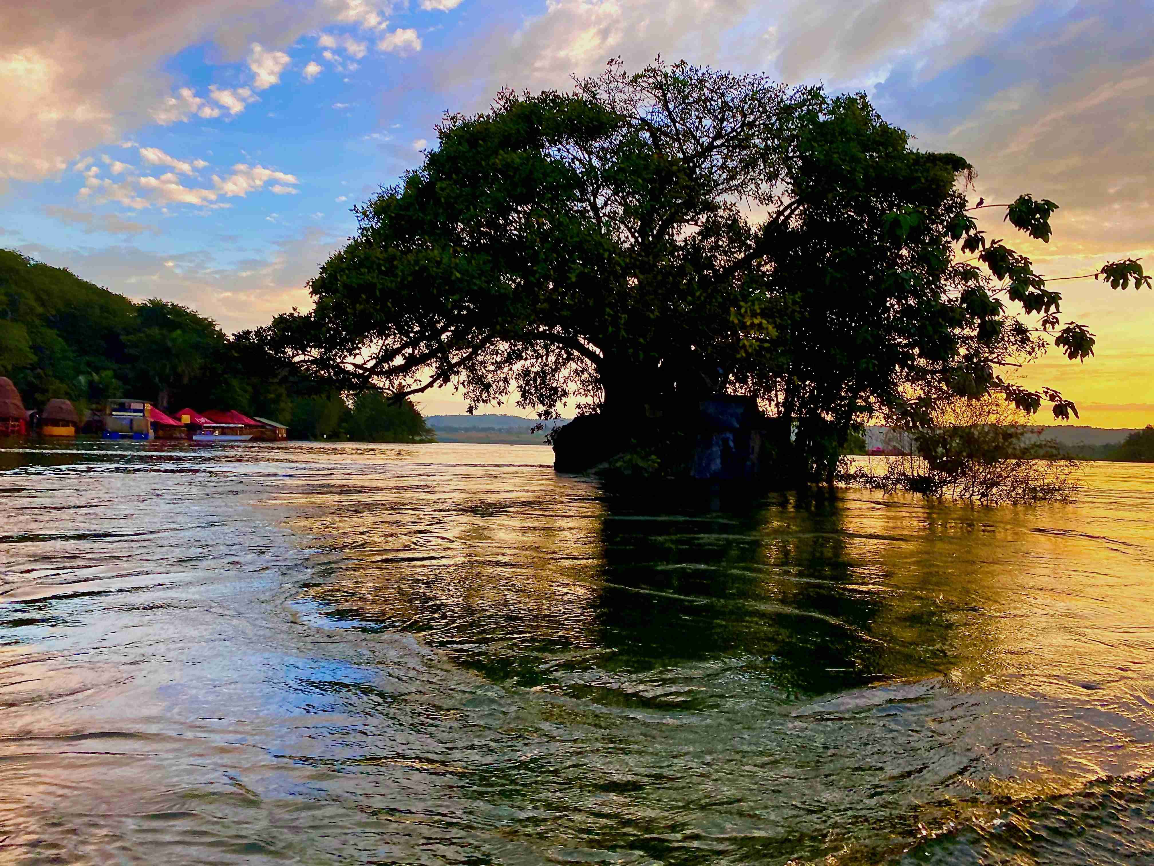 green-trees-beside-body-of-water-under-cloudy-sky-during-daytime