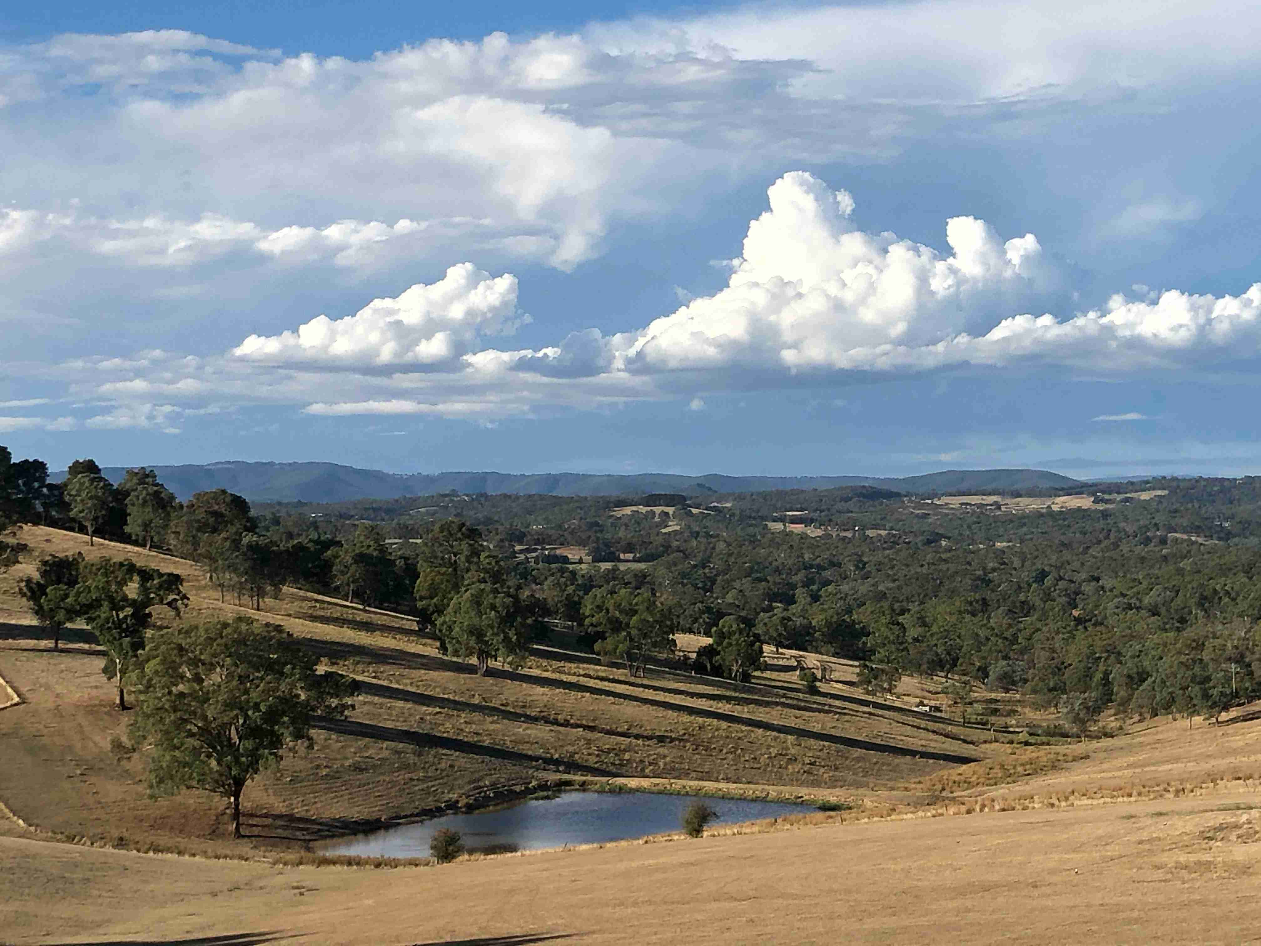 a-view-of-a-field-with-trees-and-a-body-of-water