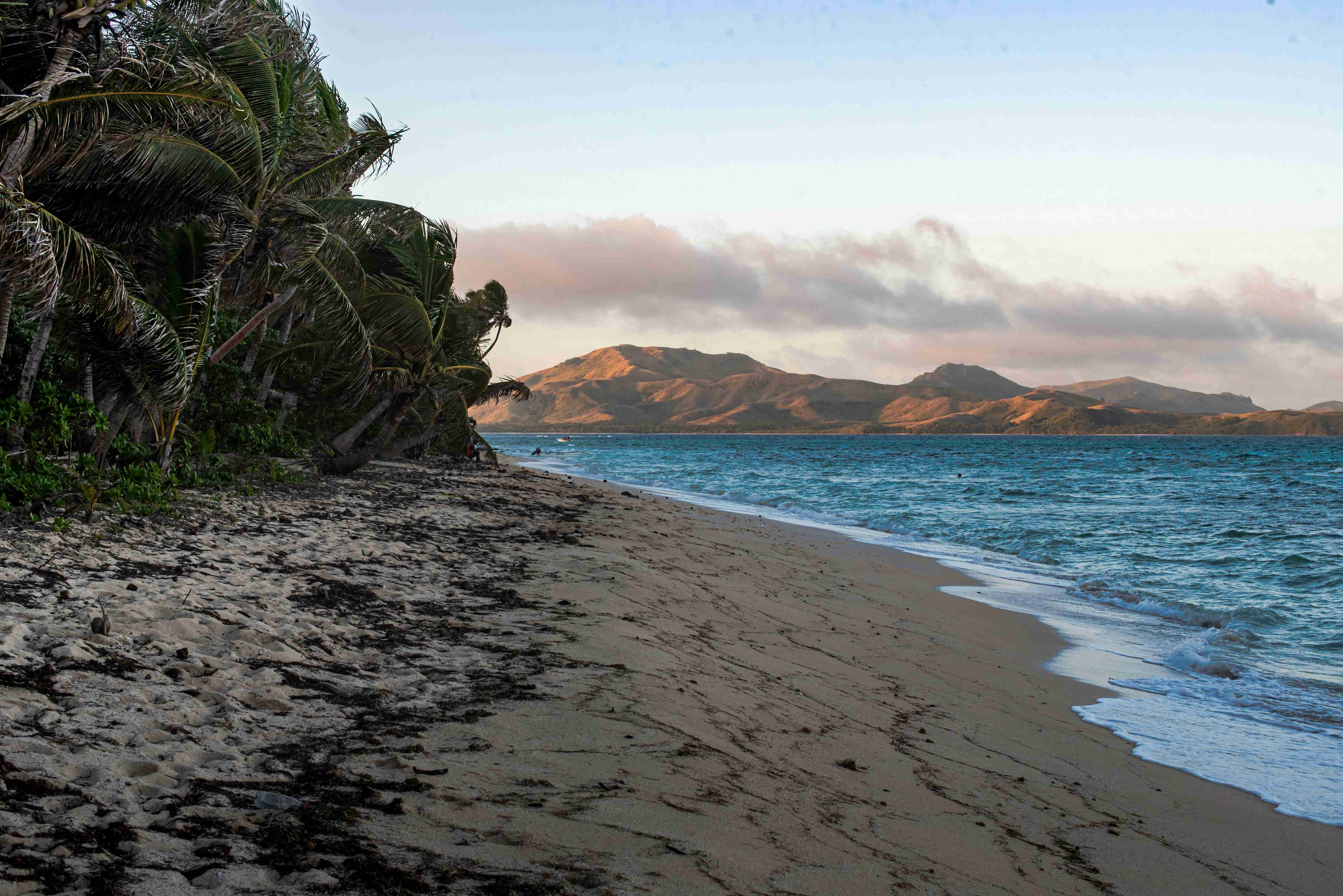 a sandy beach with palm trees on the shore
