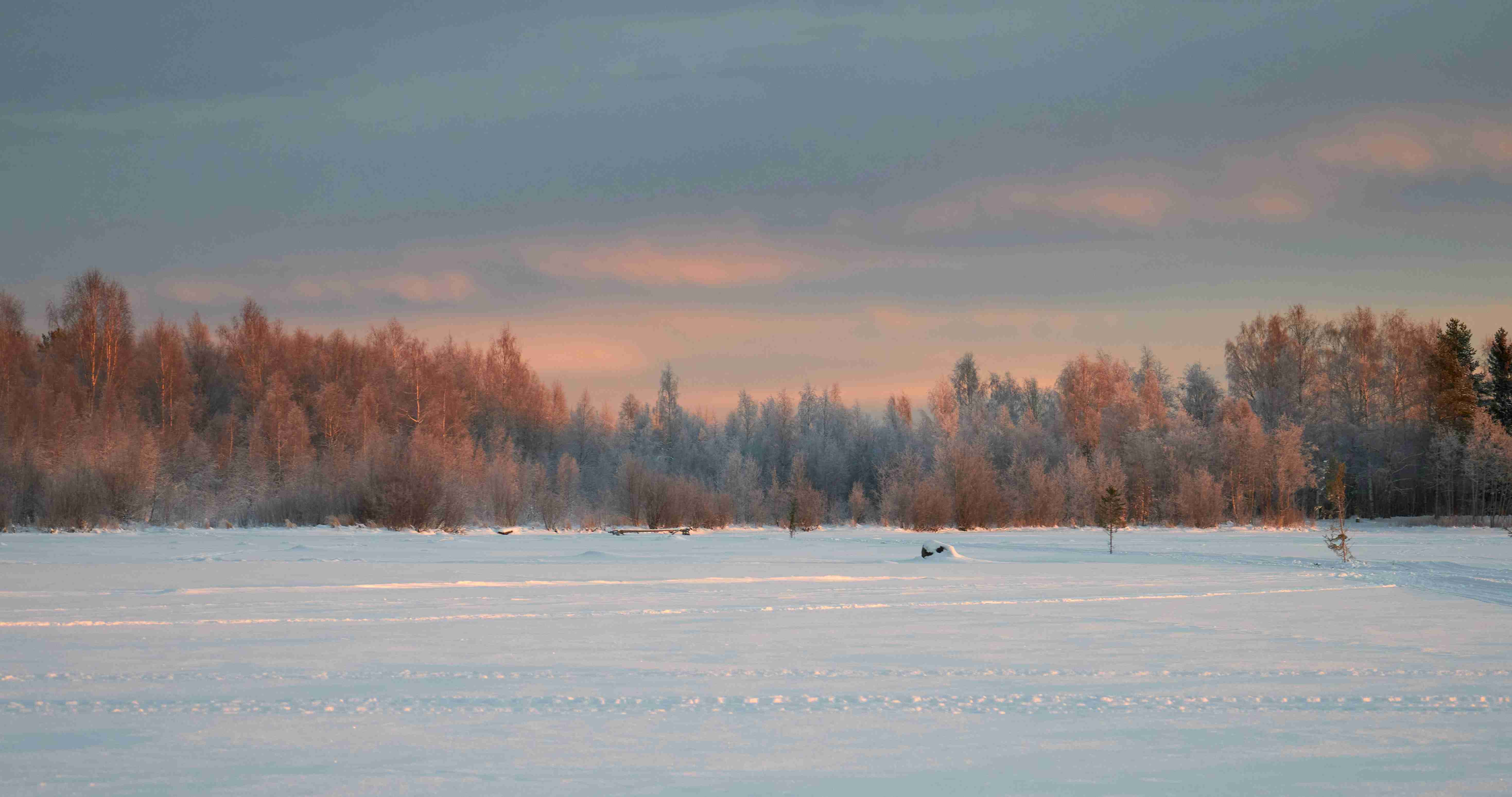 a-snowy-field-with-trees-in-the-background