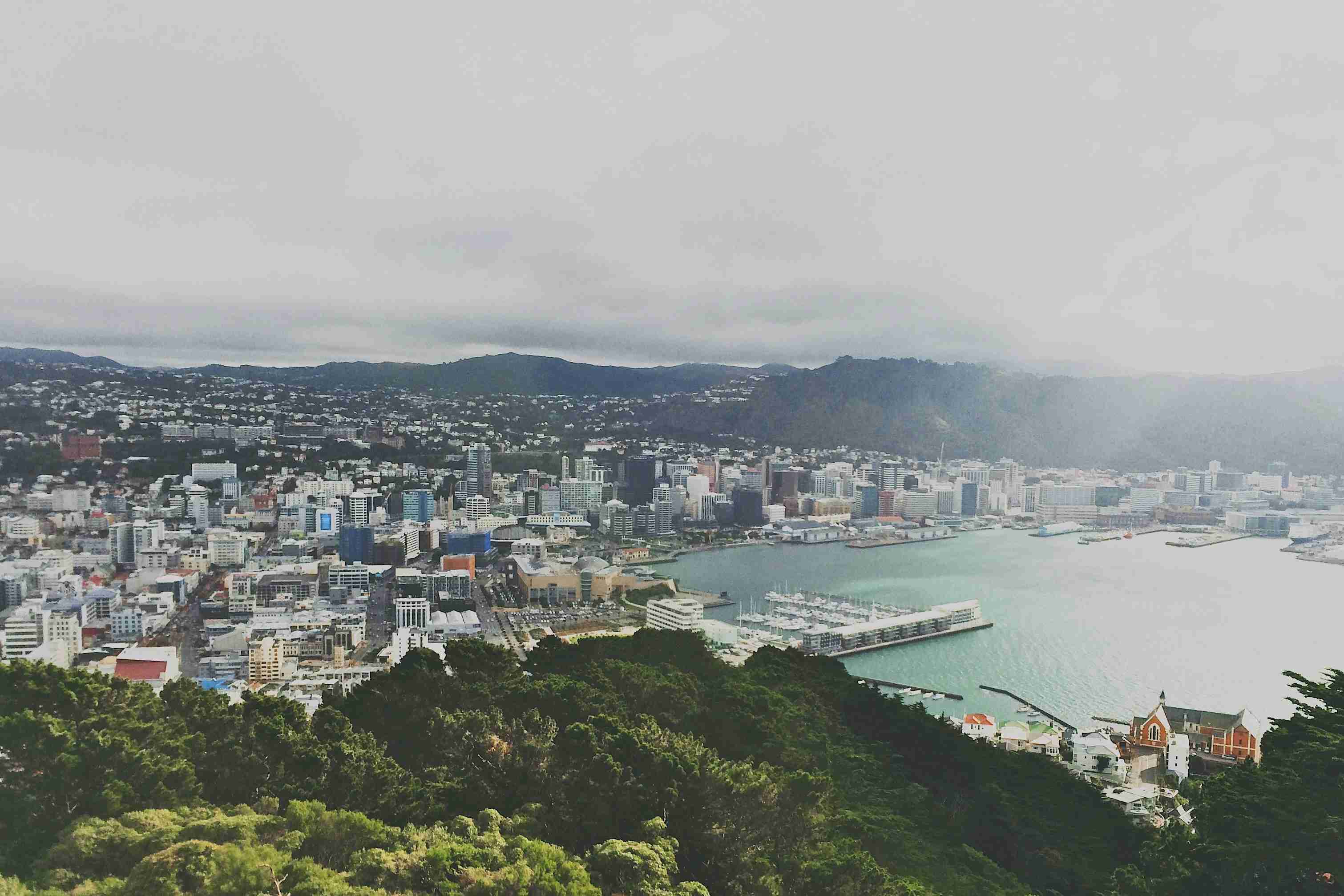Scenic Drive from Wellington: Choosing A Kiwi Road Trip