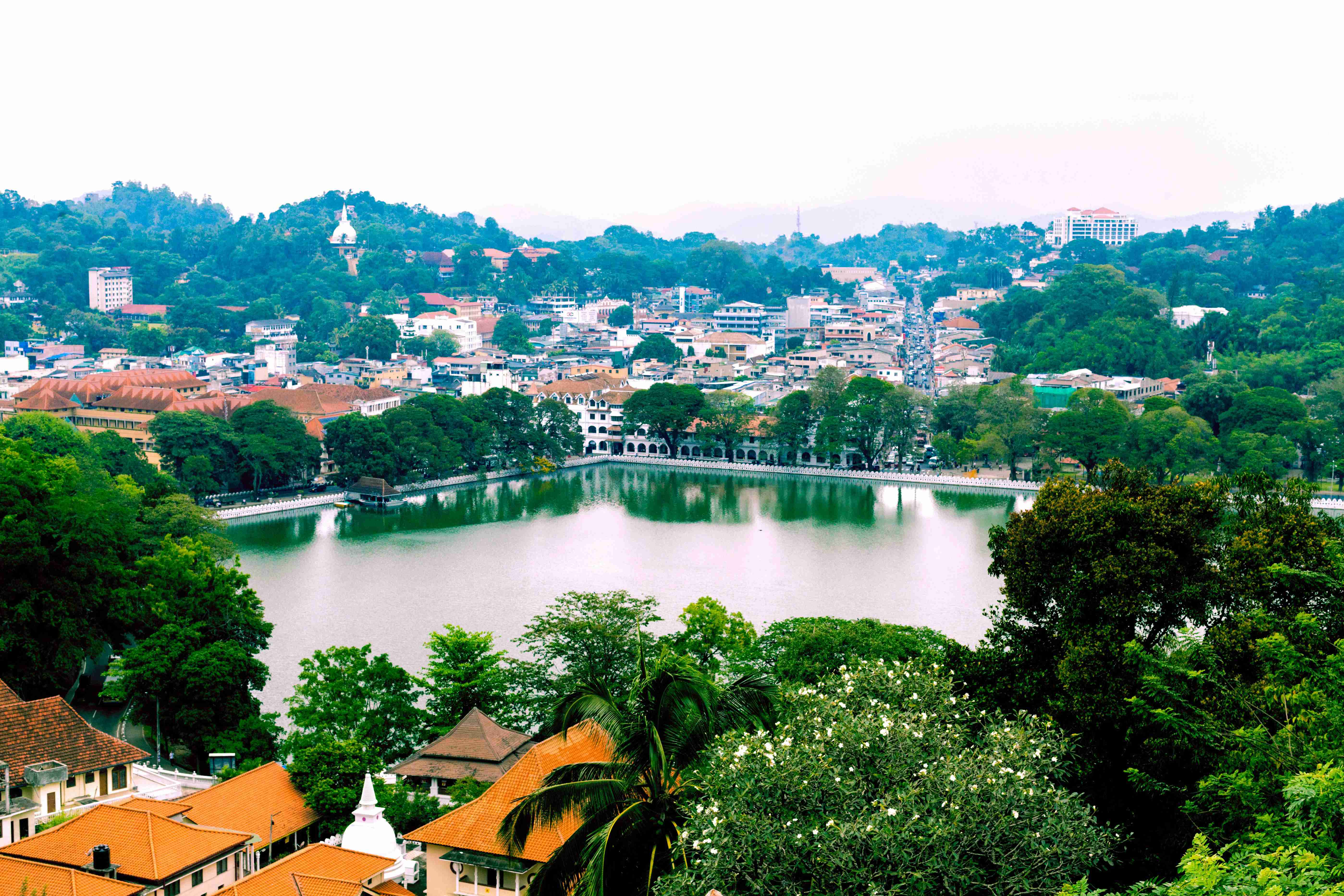 Sri Lanka Drops Visa Fees and Resumes Online Applications to Boost Tourism