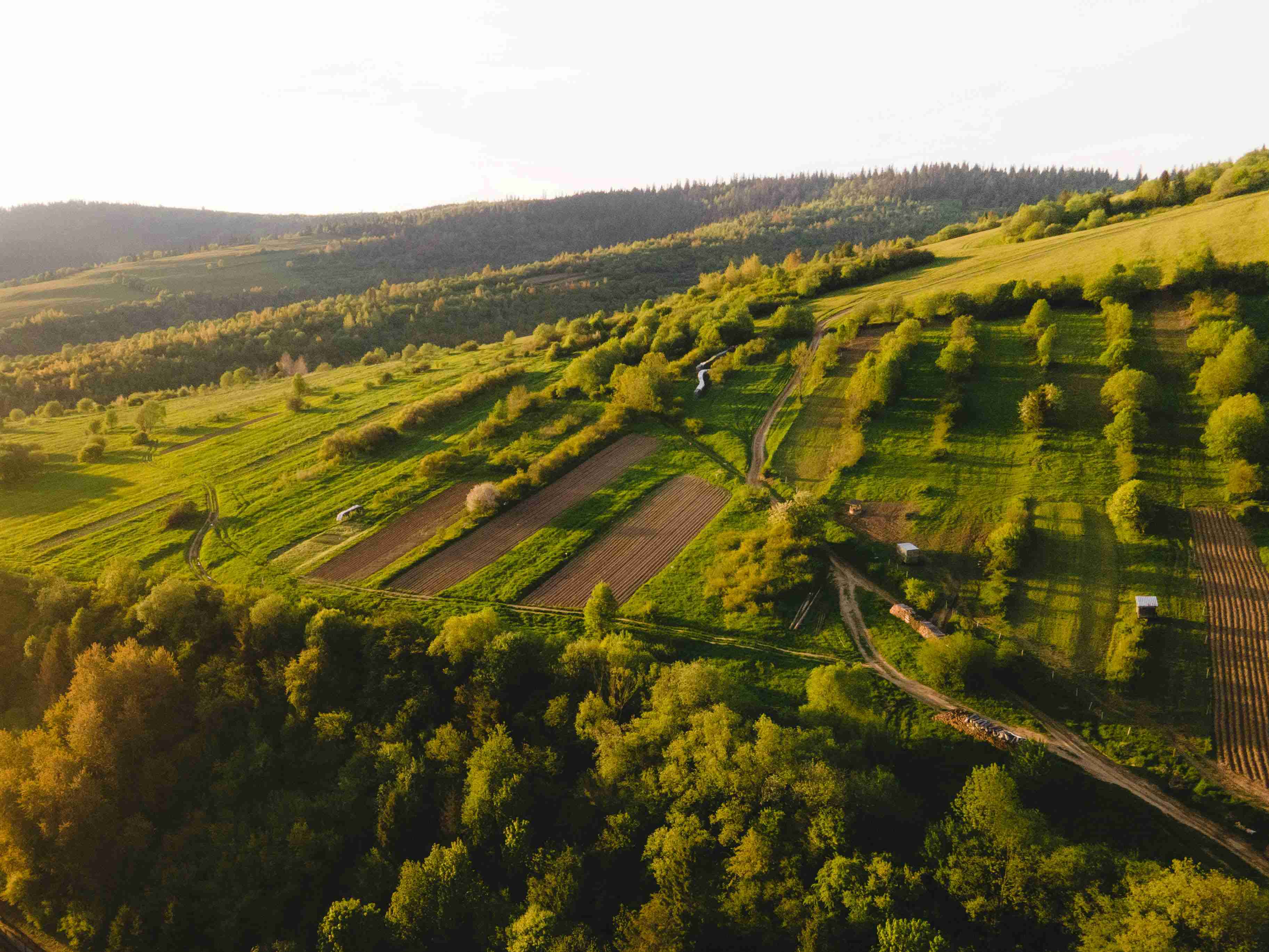 aerial-view-of-agricultural-land