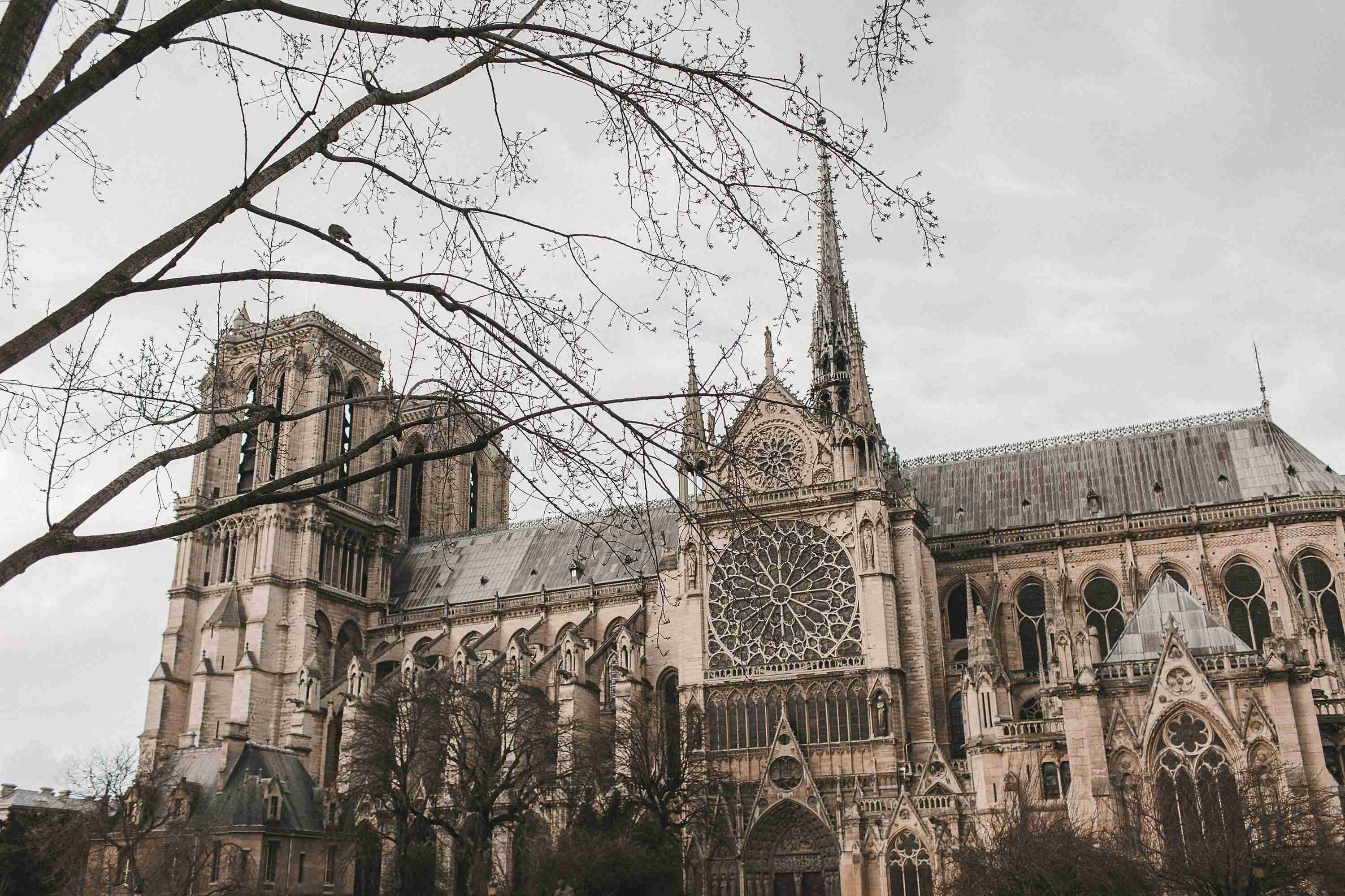 notre-dame-de-paris