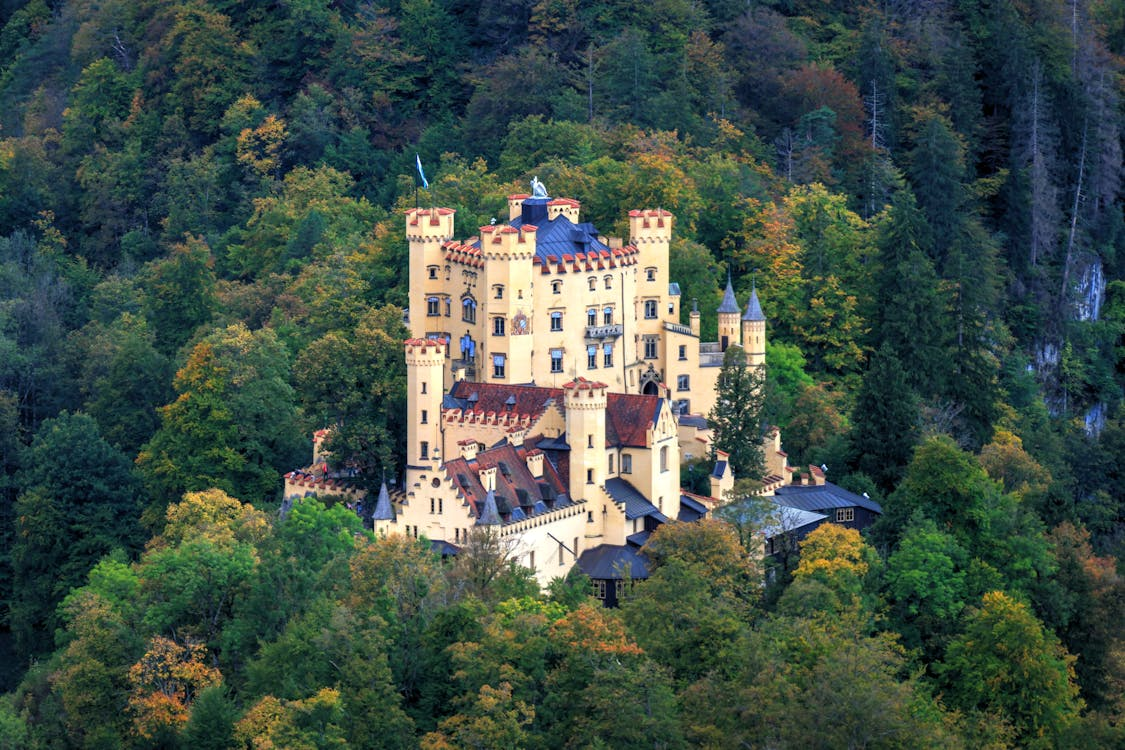 Hohenschwangau Castle Surrounded by Forest