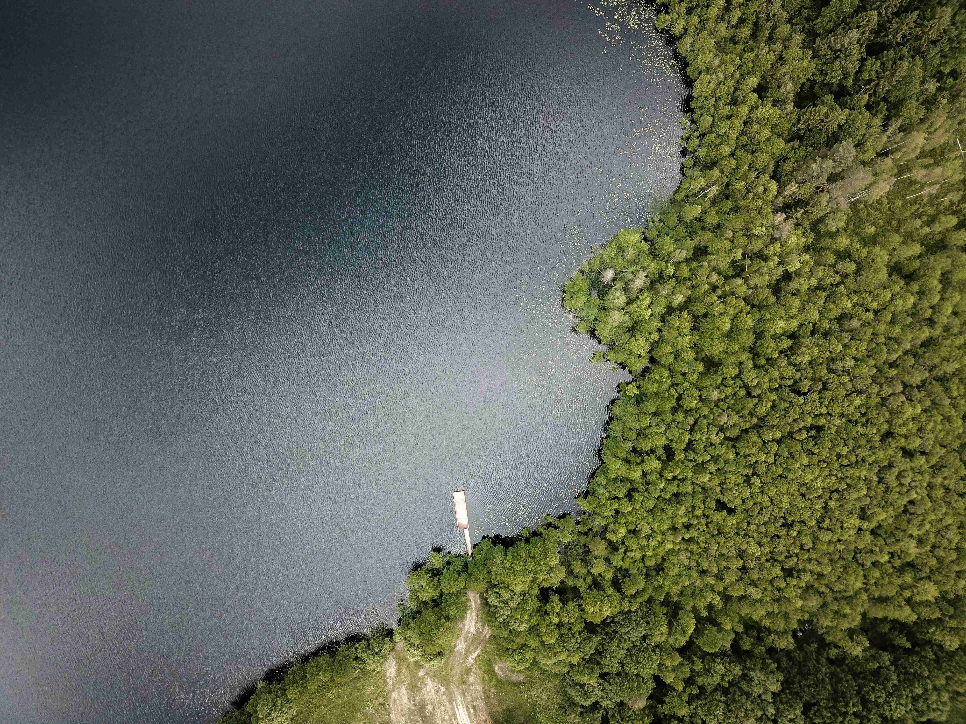 велике водоймище, оточене деревами