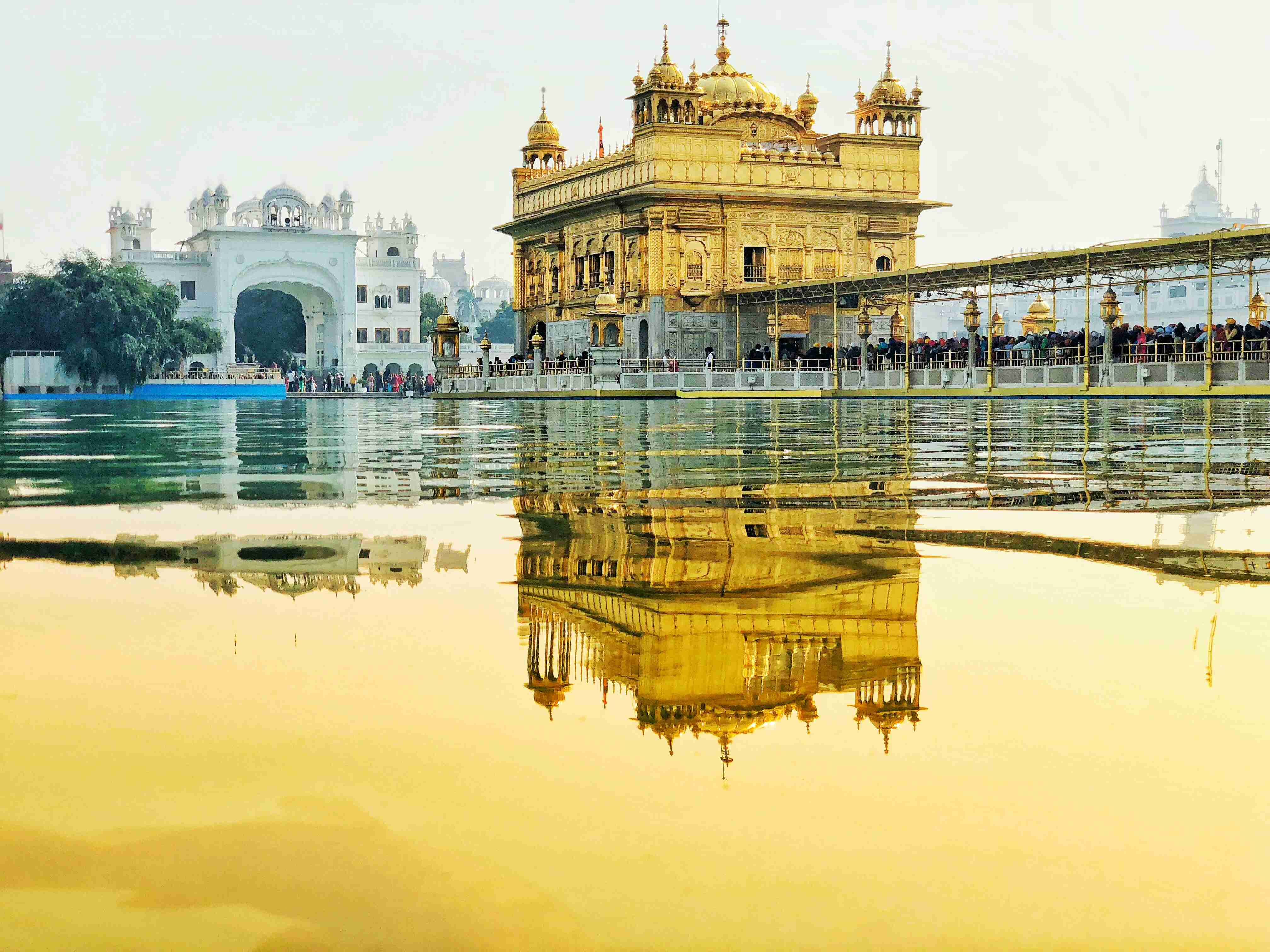 Best Restaurants to Check Out in India: Top Culinary Gems