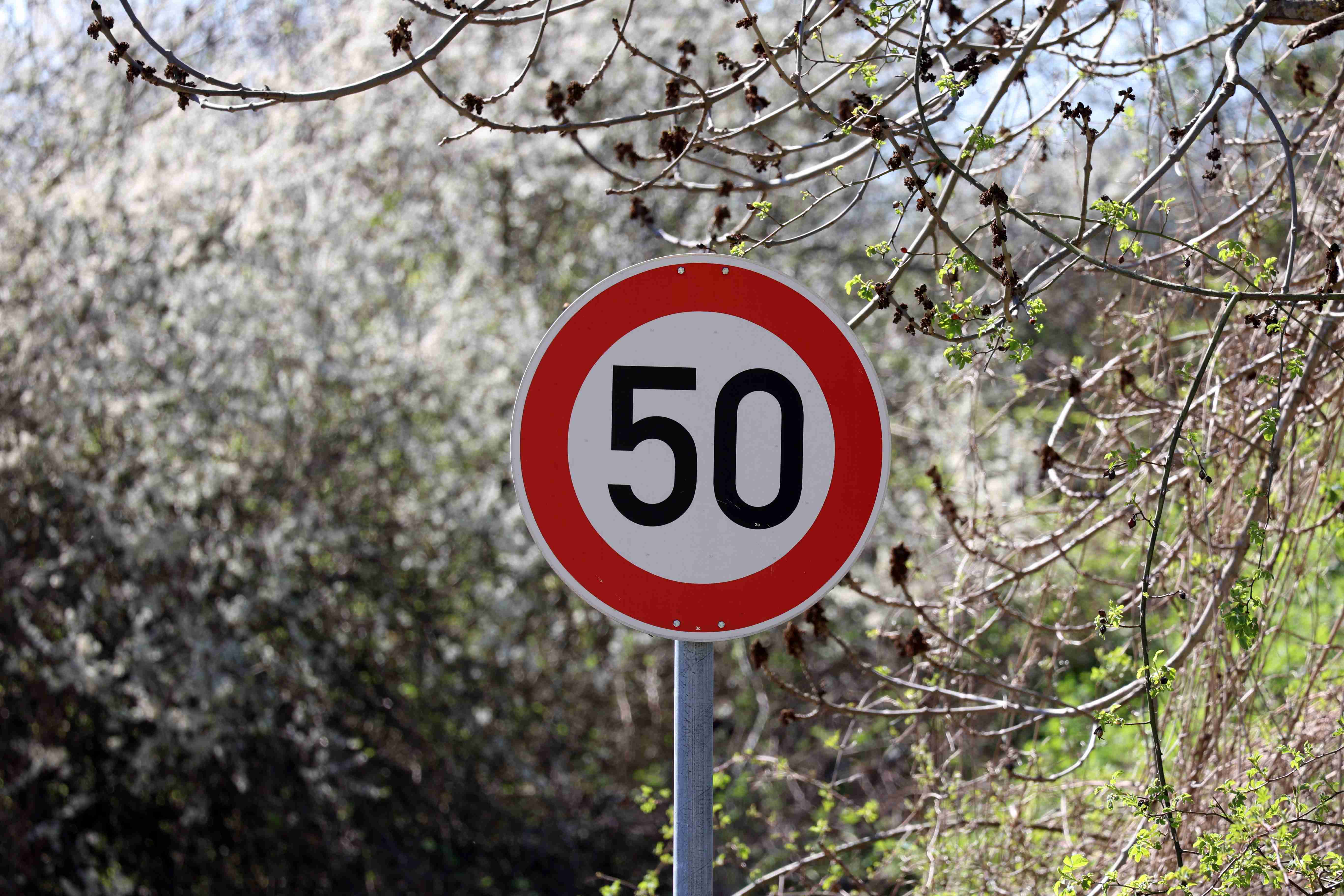 panneau-rond-rouge-de-limitation-de-vitesse-dans-une-zone-rurale