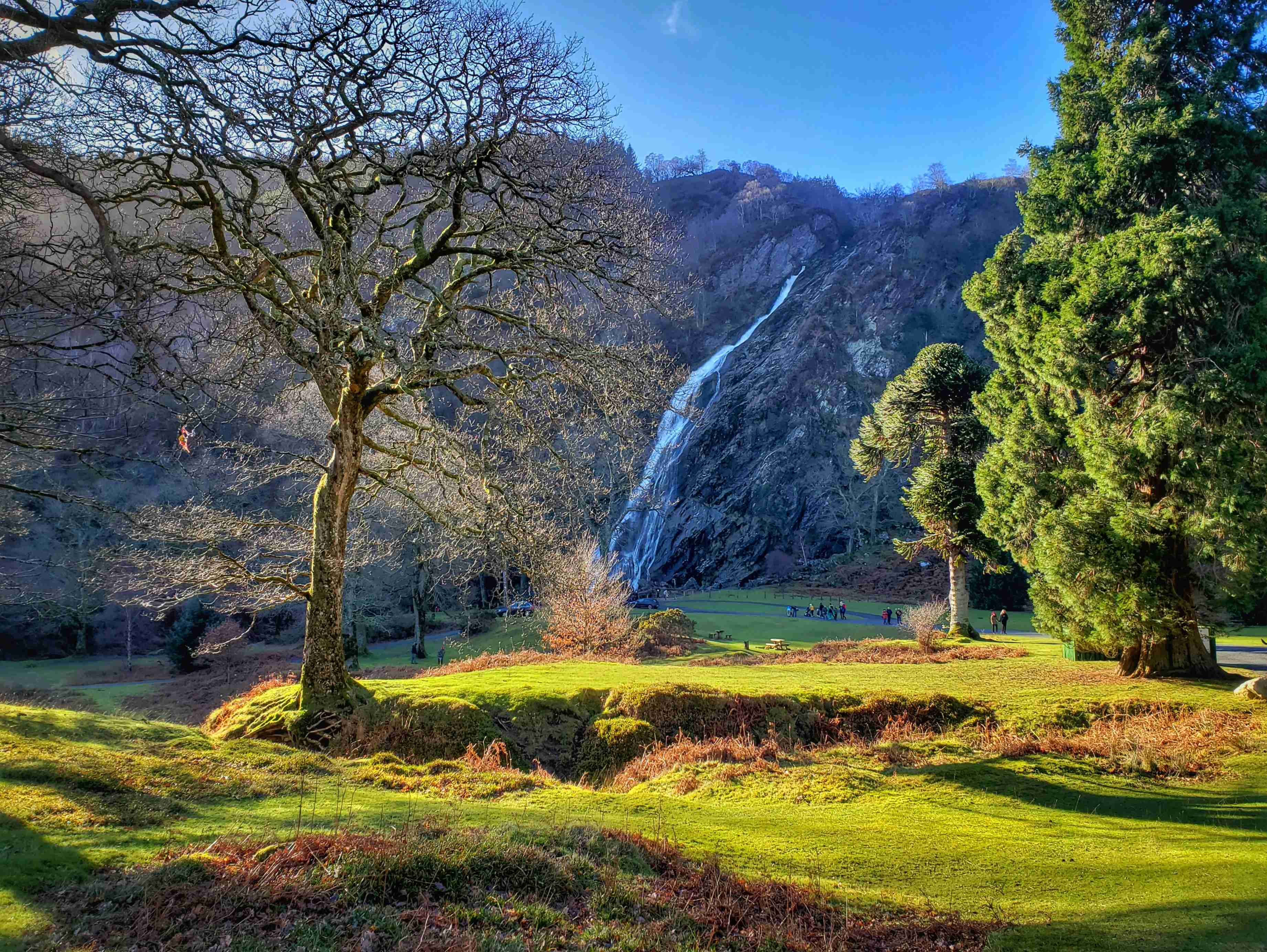 campo de hierba verde con árboles y montaña a lo lejos