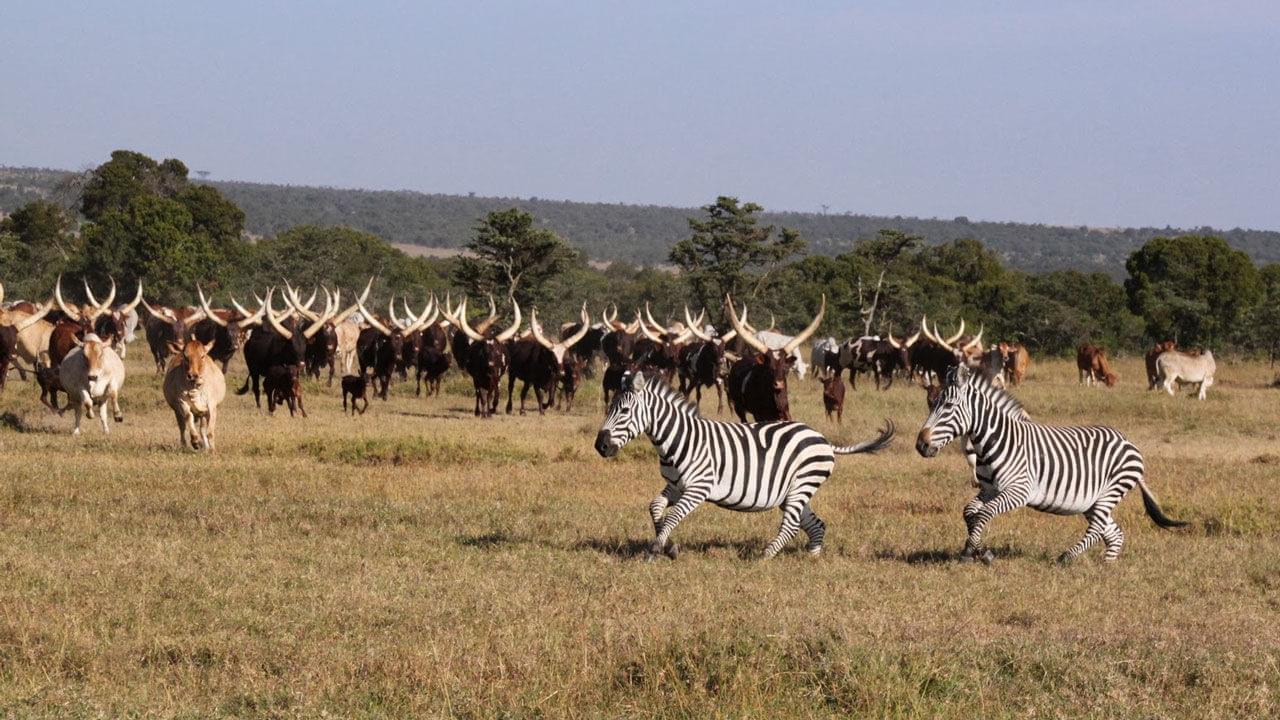 South Sudan Driving Guide