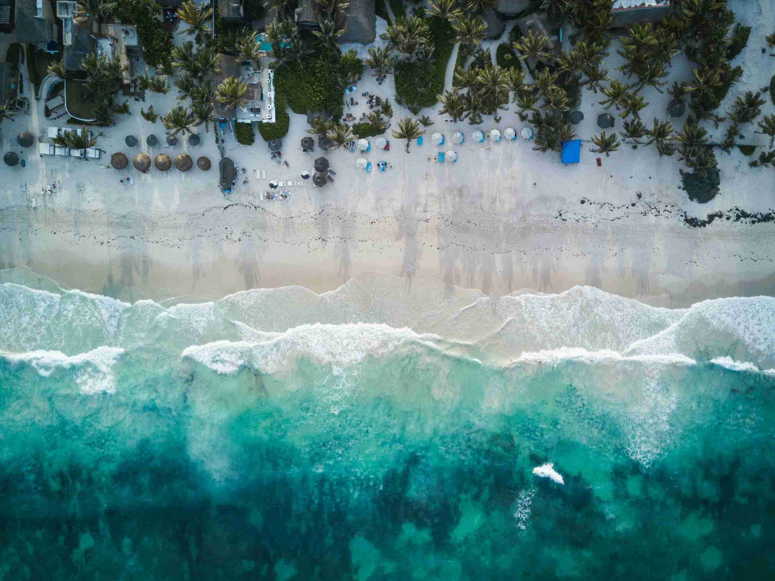 aerial photography of beach shore