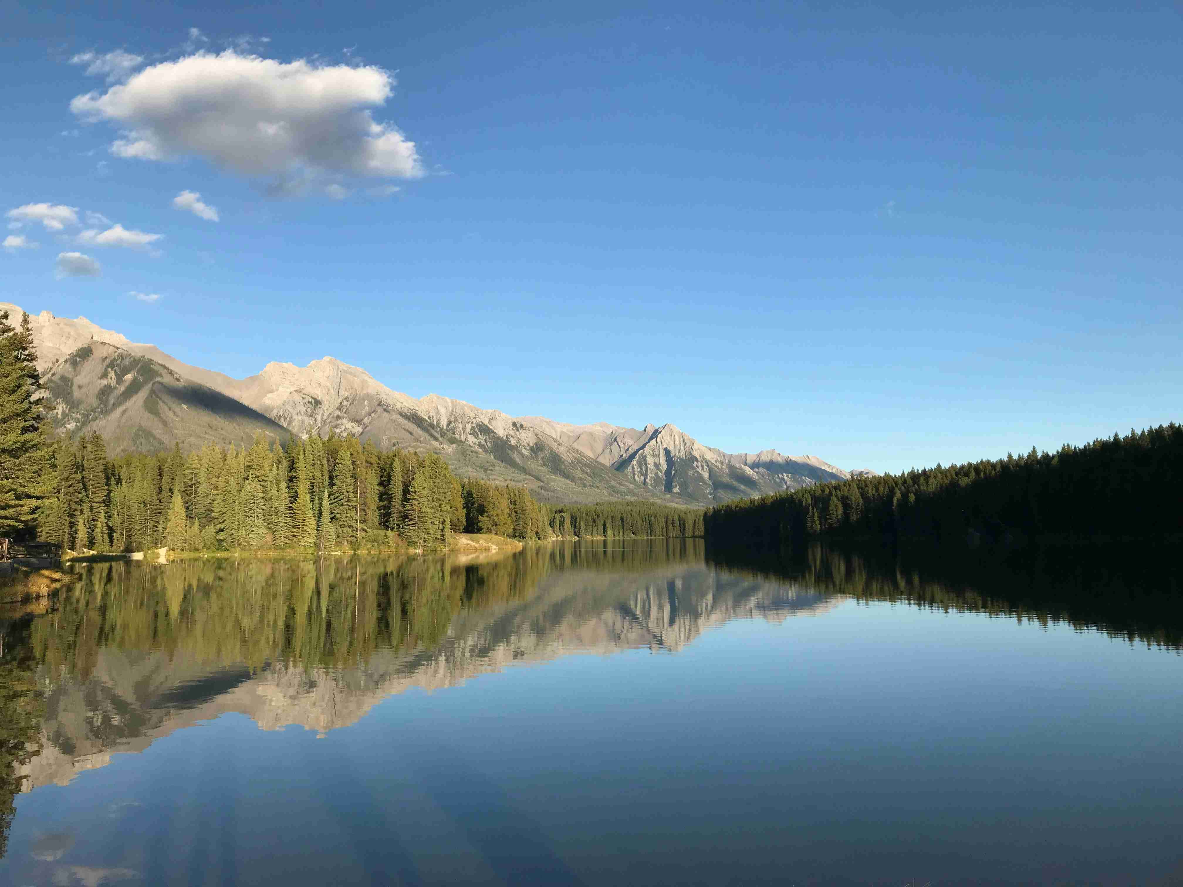 lake near green trees and mountain