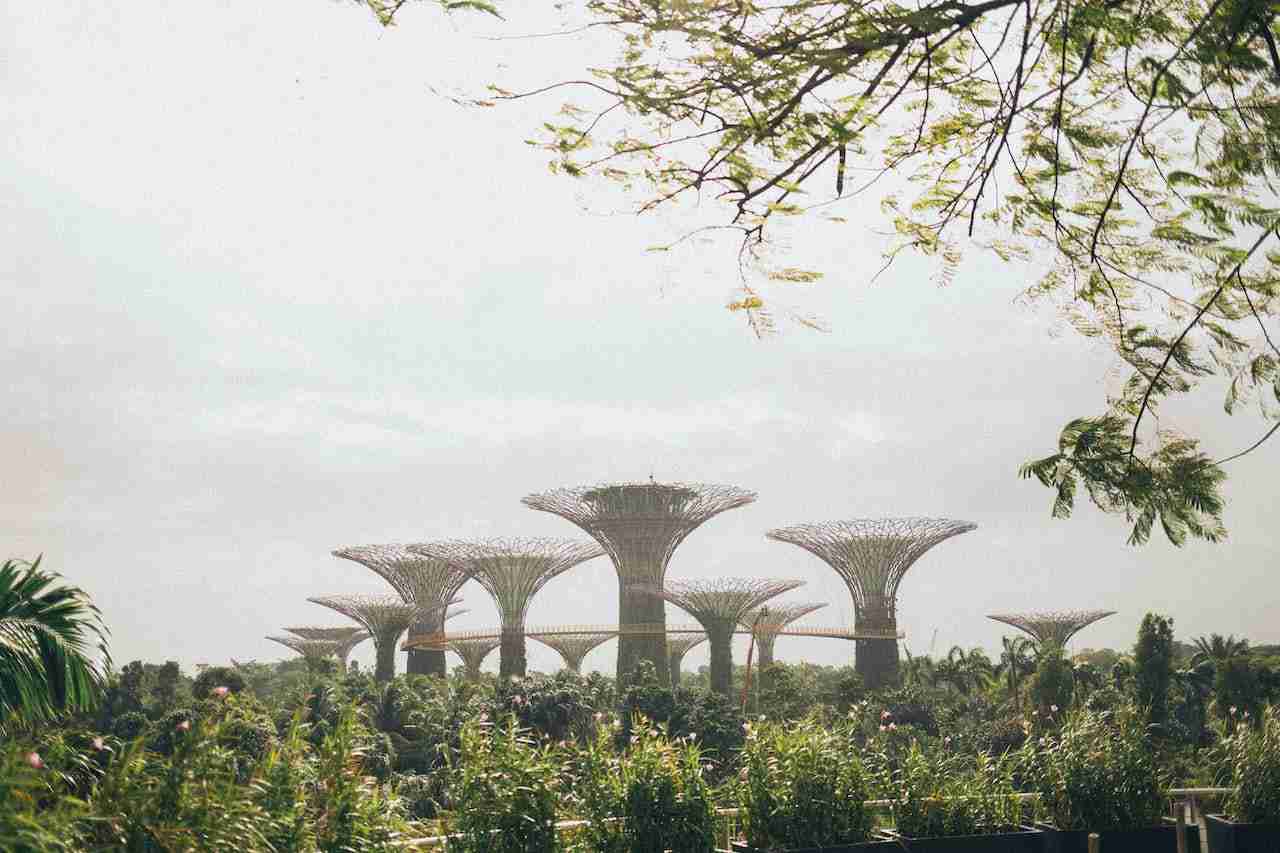 Best Time to Visit Singapore