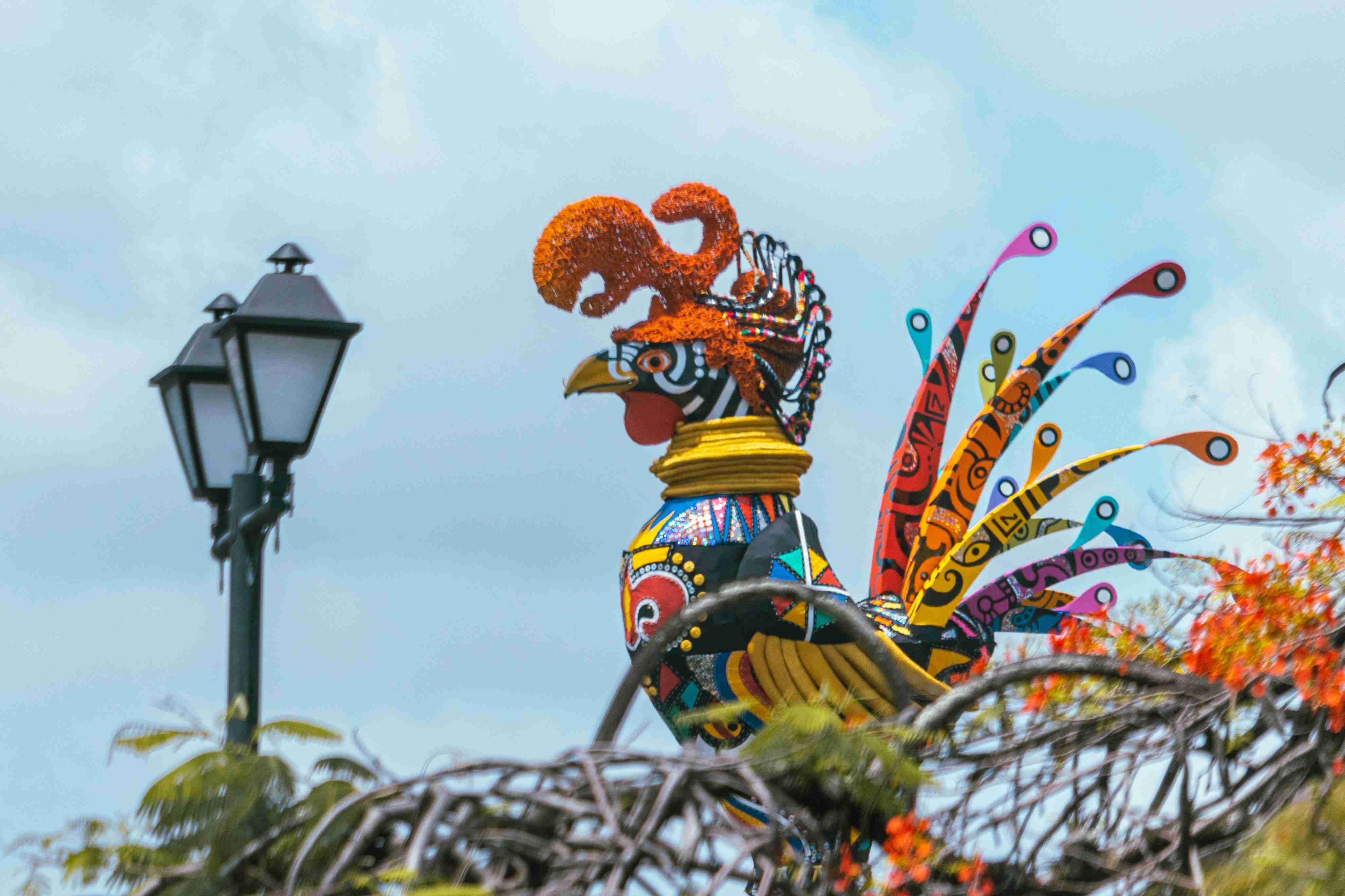 Carnival on the Road: A Practical Guide to Driving During Carnival Season