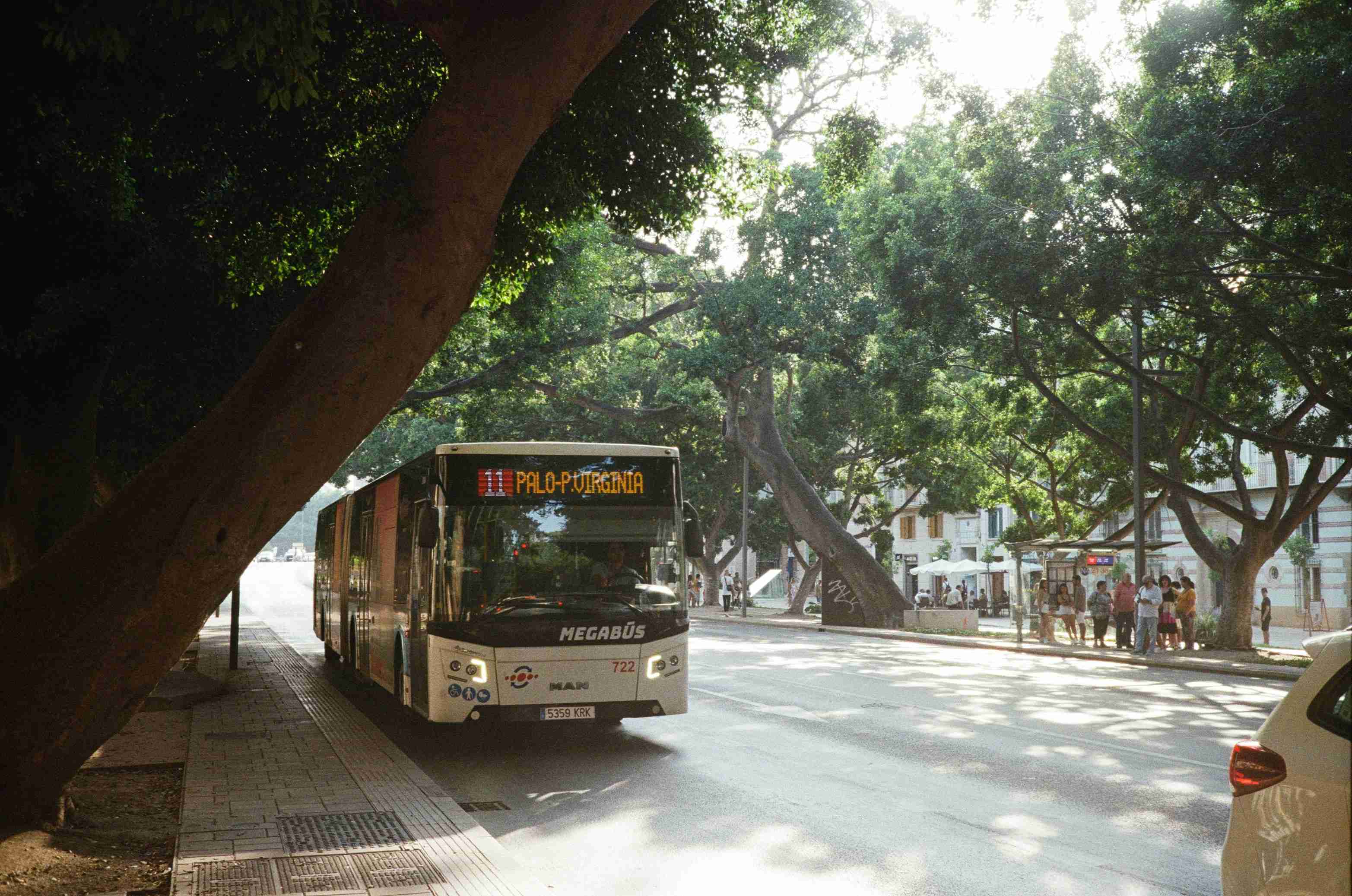 a bus driving down a street next to a tree