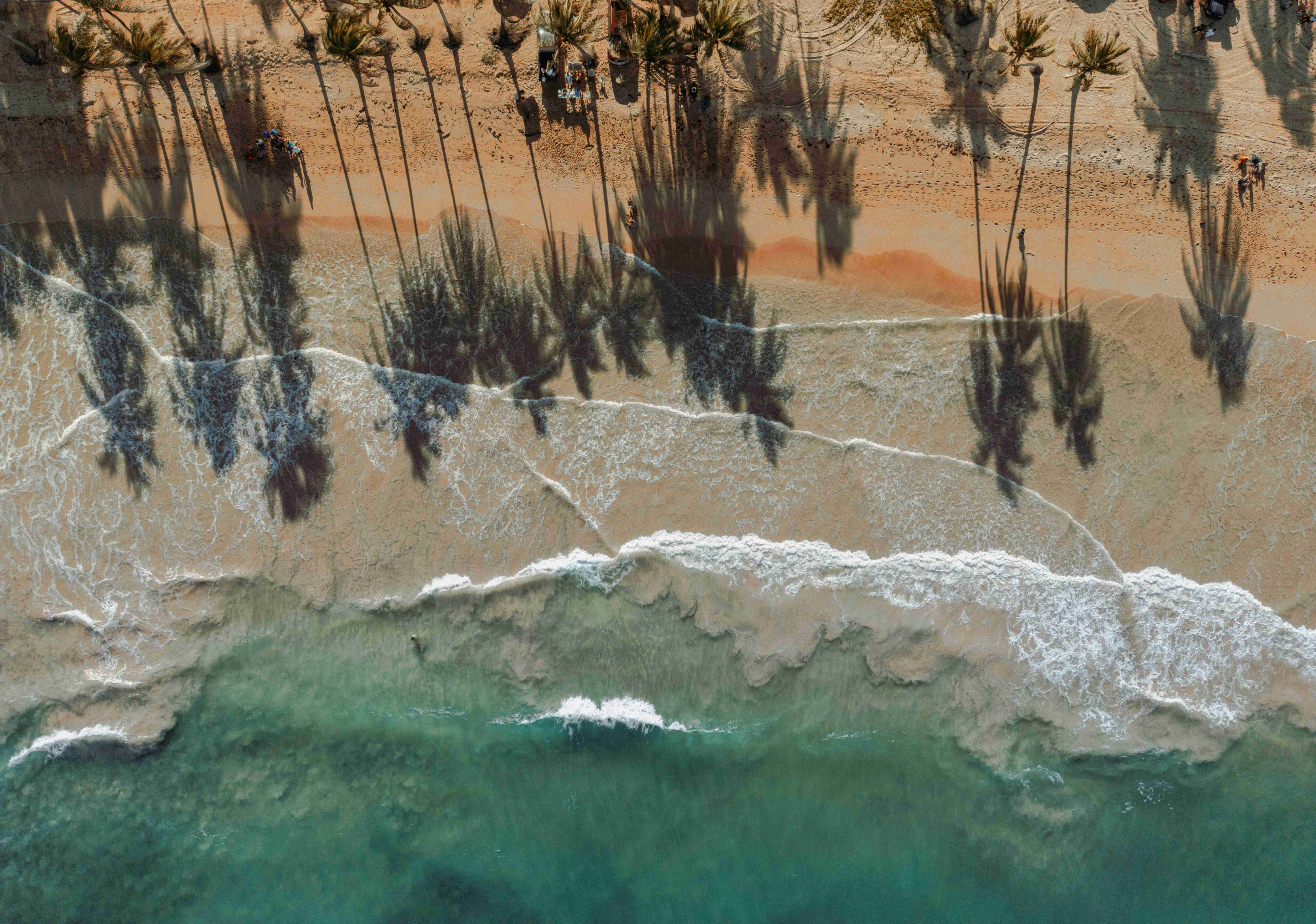 an-aerial-view-of-a-beach-with-palm-trees
