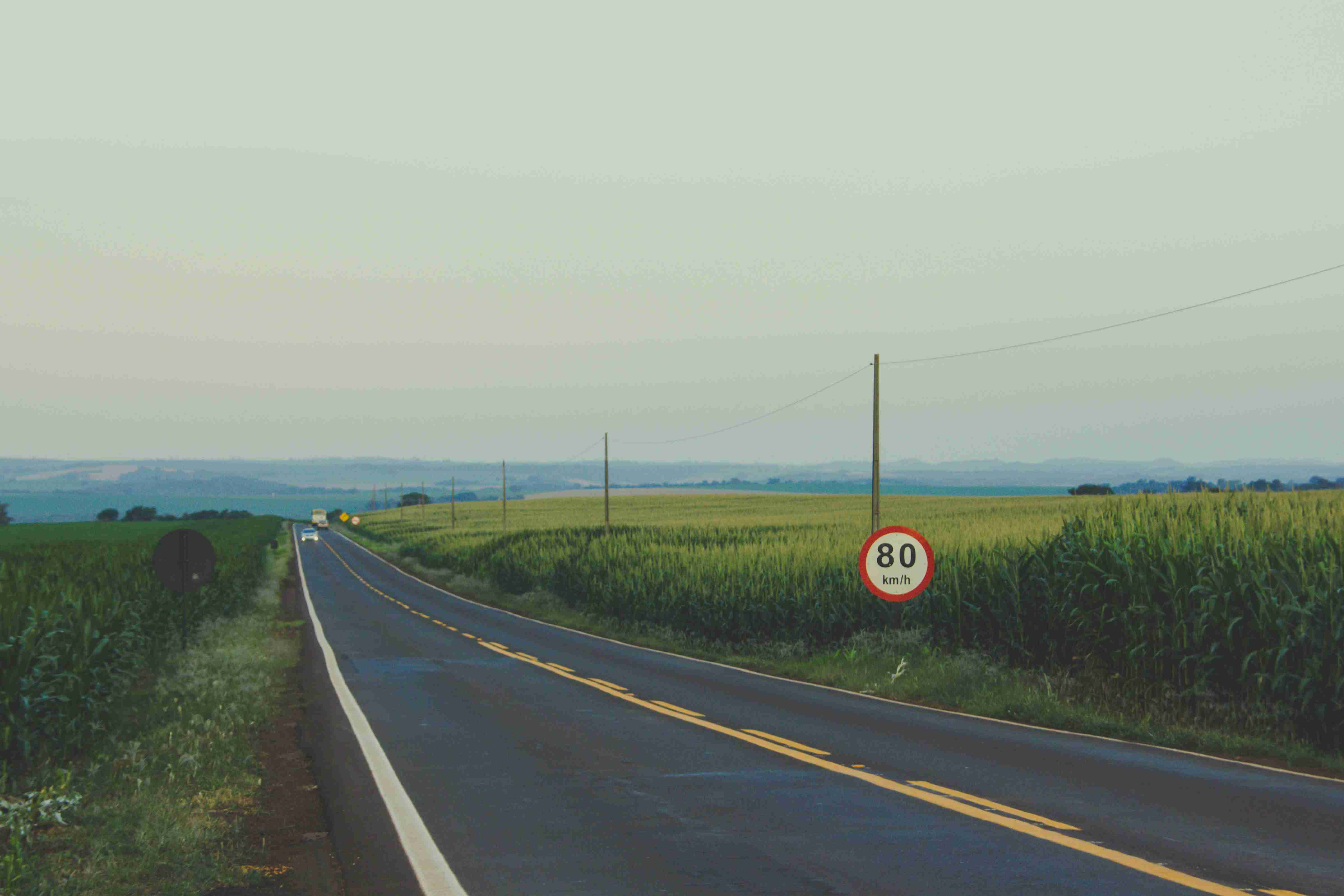 black asphalt road beside green plants