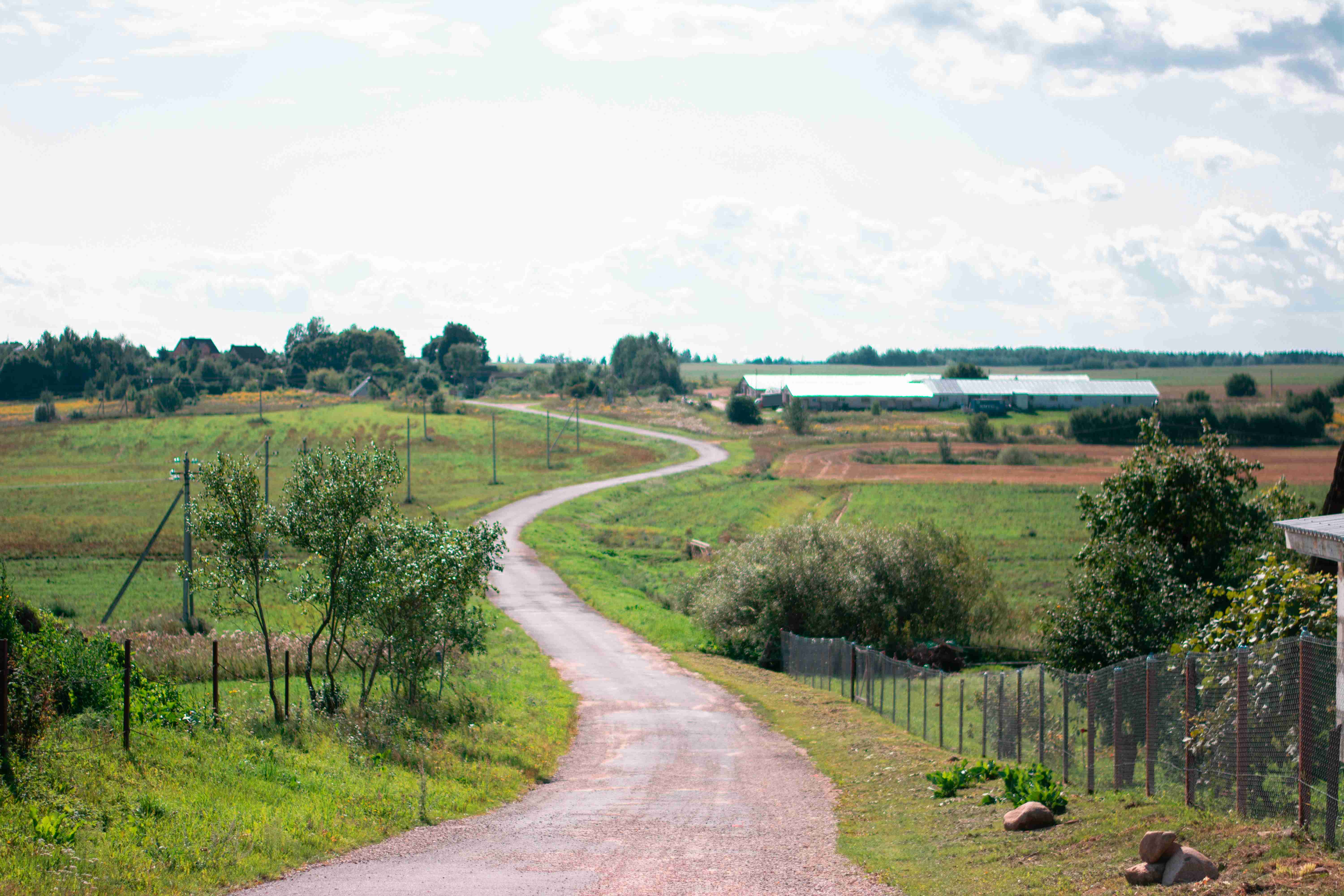 ґрунтова дорога в полі