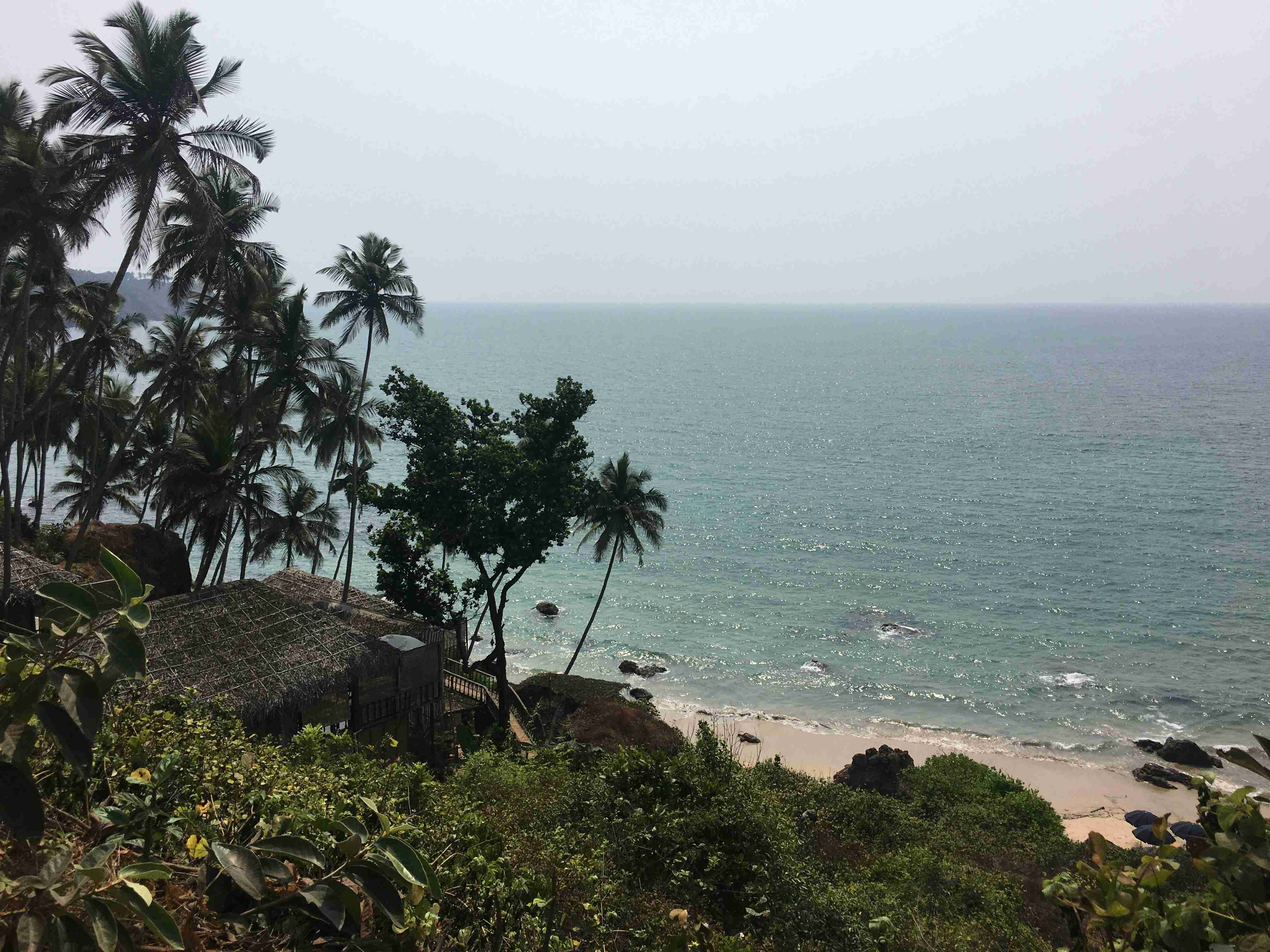 a view of a beach with palm trees and the ocean
